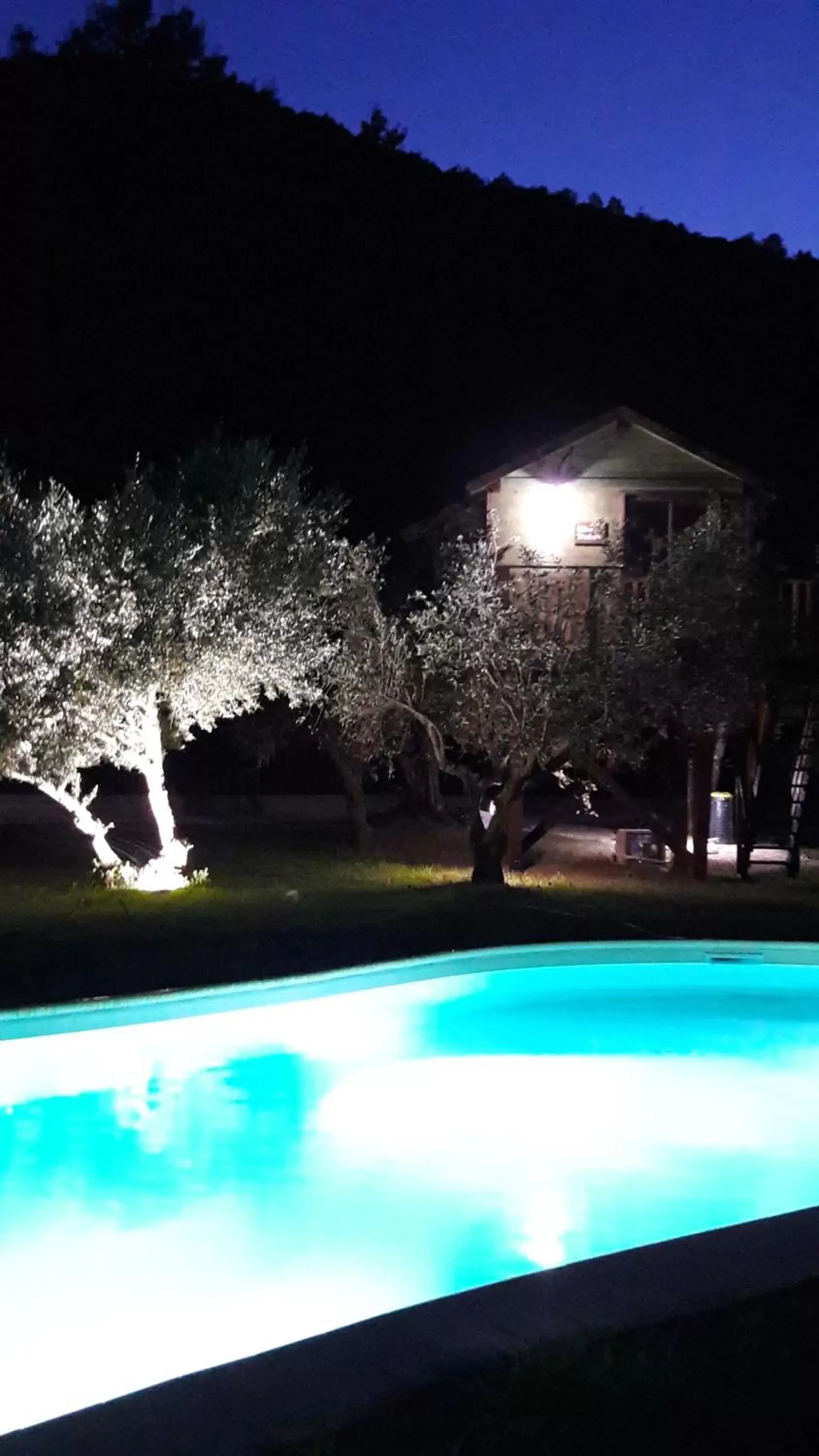 Pool view, Swimming Pool in Palazzo Conforti Tree House Resort