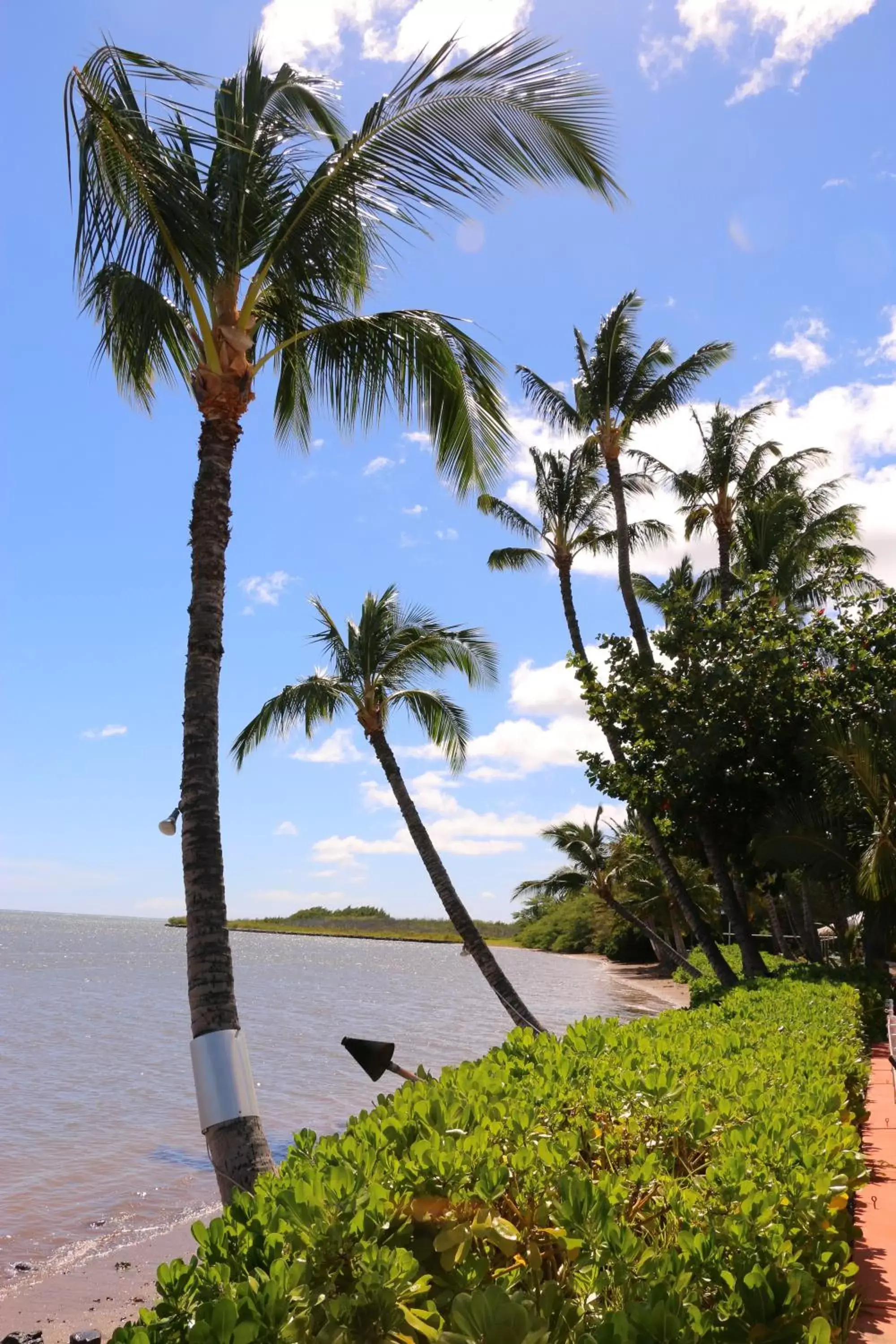 Day in Hotel Moloka'i Day in Hotel Moloka'i