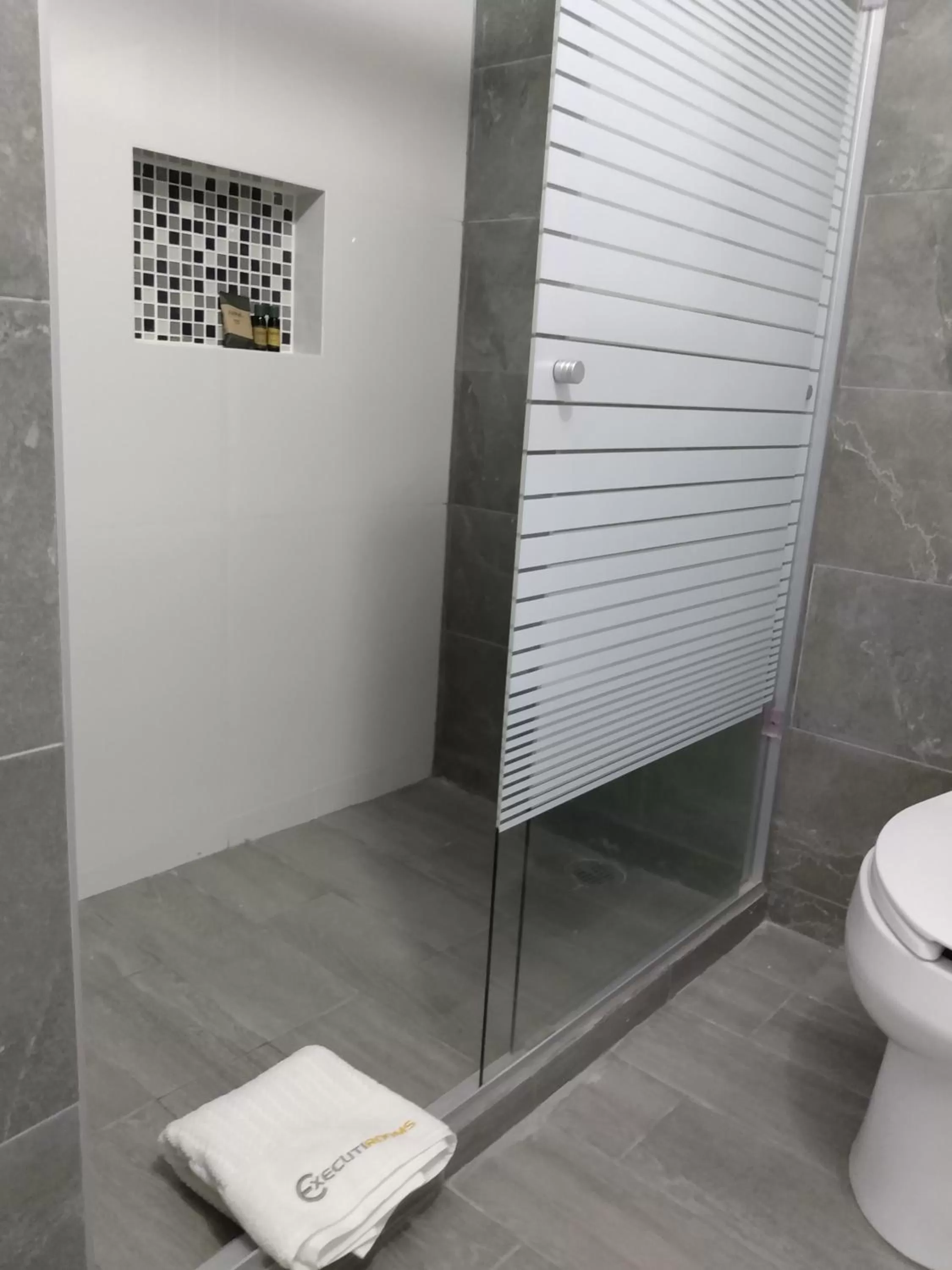 Shower in EXECUTIROOMS VERACRUZ