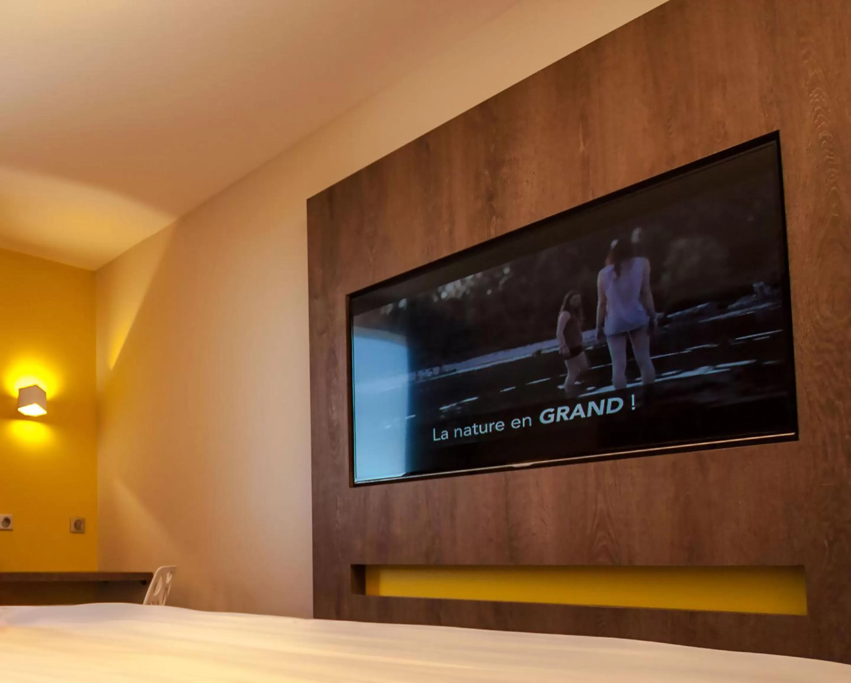 TV and multimedia, Bed in Best Western Hotelio Montpellier Sud