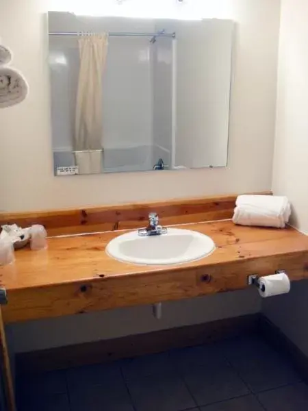 Bathroom in Hiawatha Lodge Inn