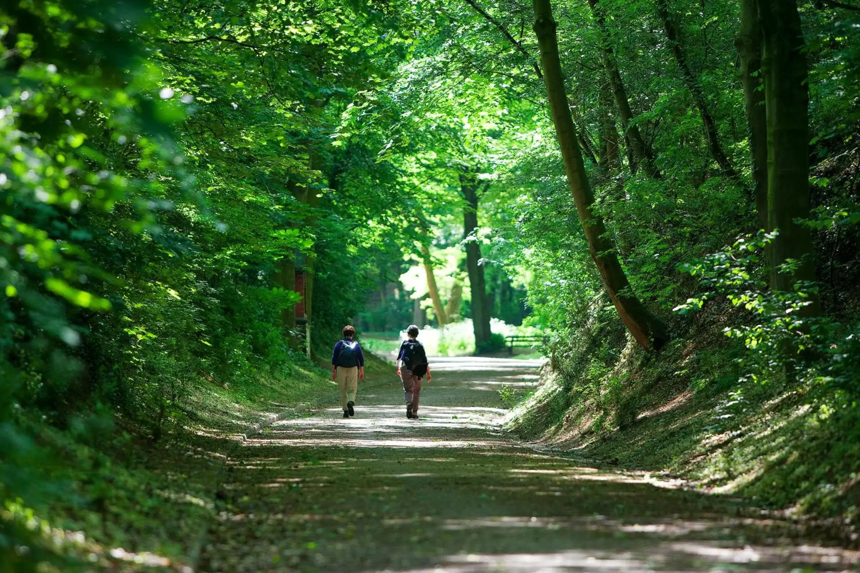 Natural landscape in DoubleTree by Hilton Sittard