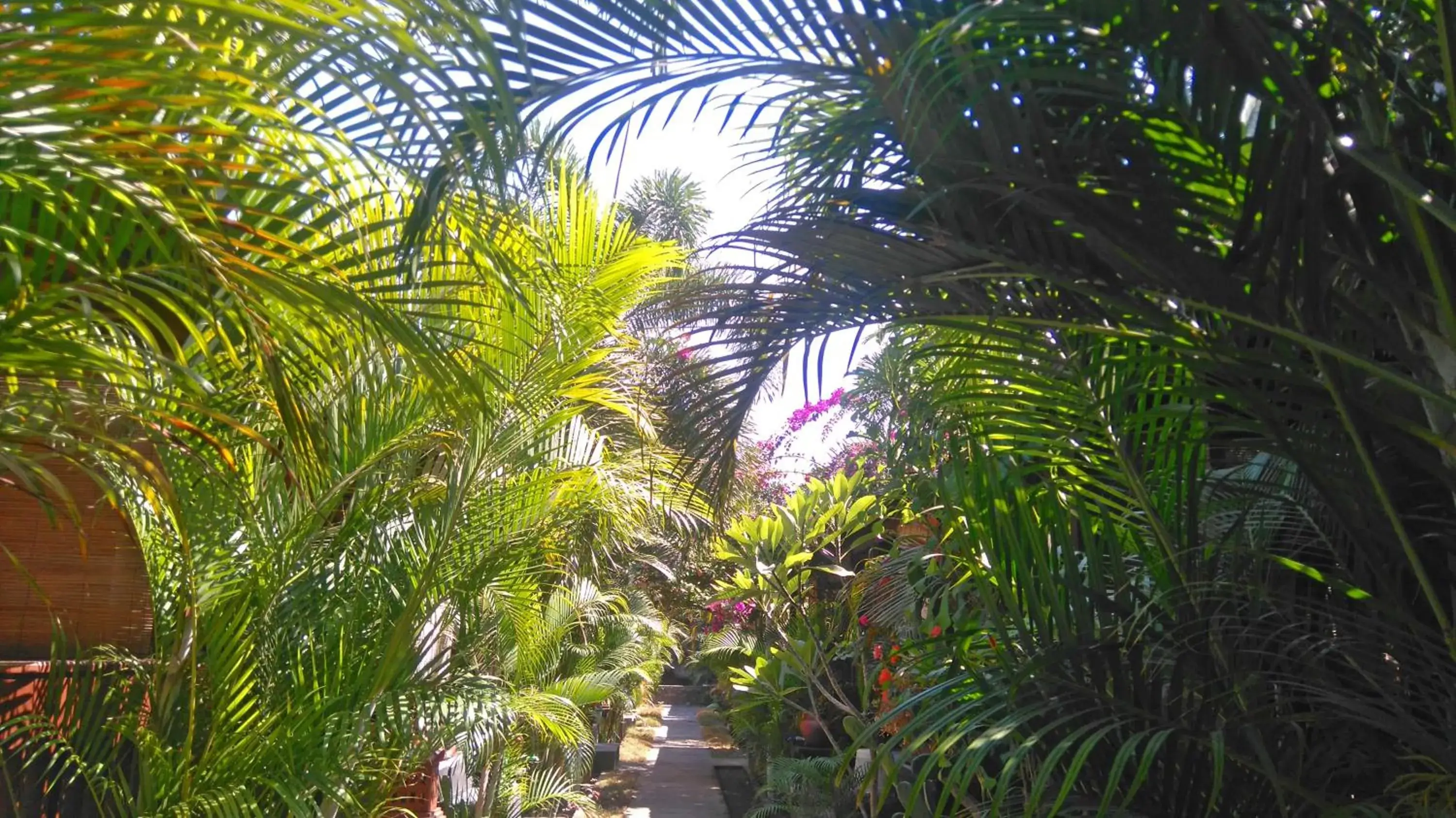 Natural landscape in Colour Cottages