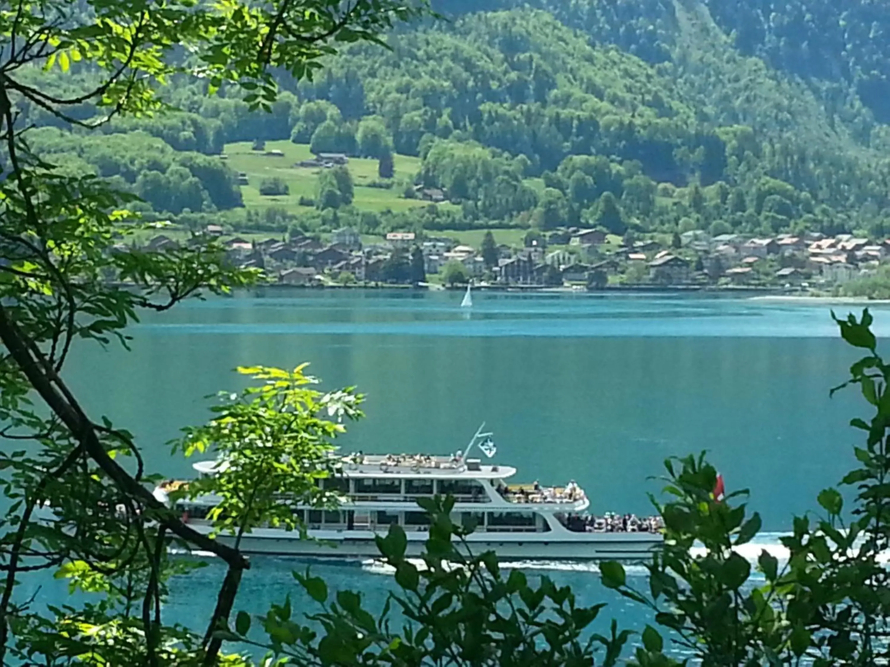 Natural landscape in Alpina Boutique Hotel Ringgenberg