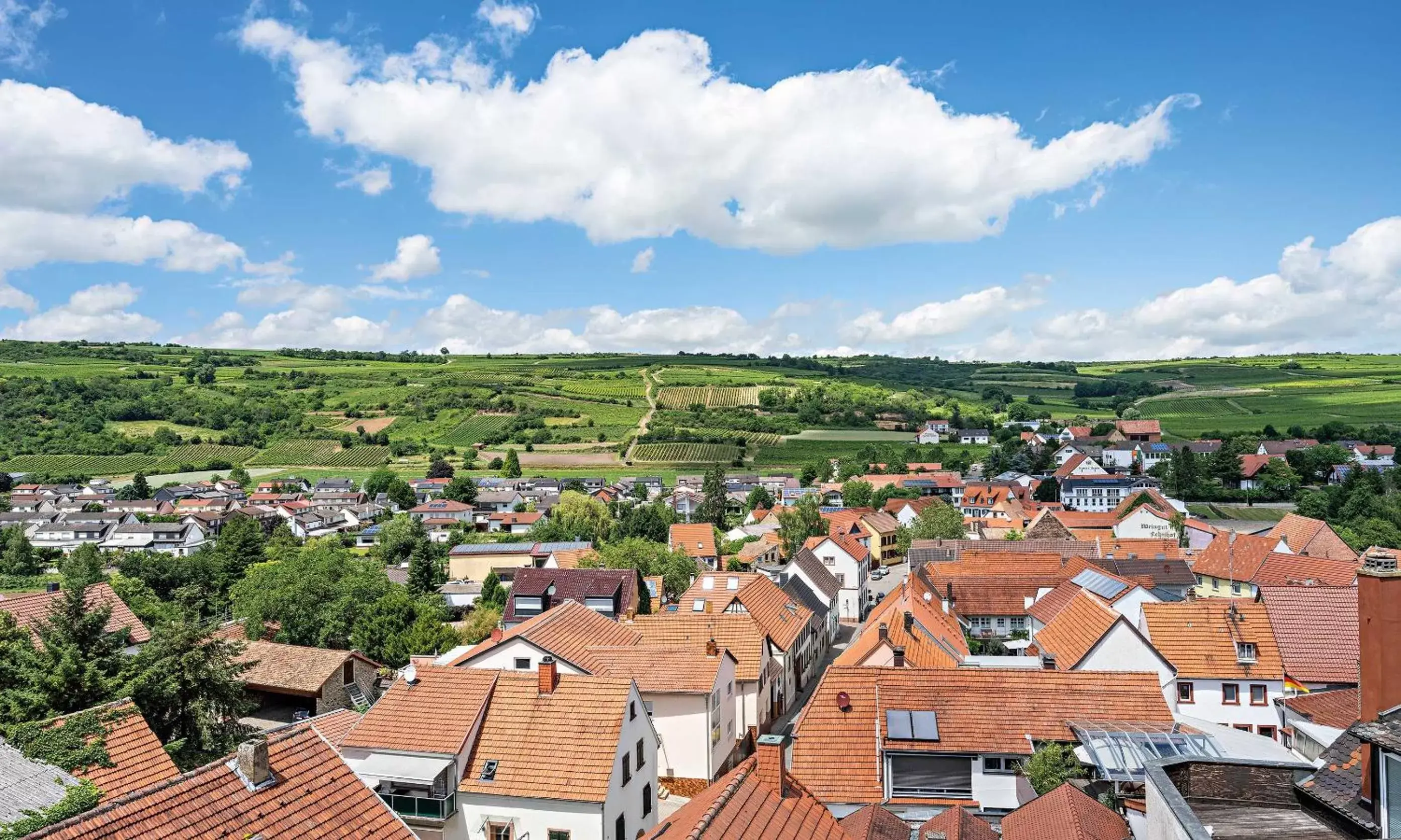 View (from property/room) in Pfalzhotel Asselheim View (from property/room) in Pfalzhotel Asselheim