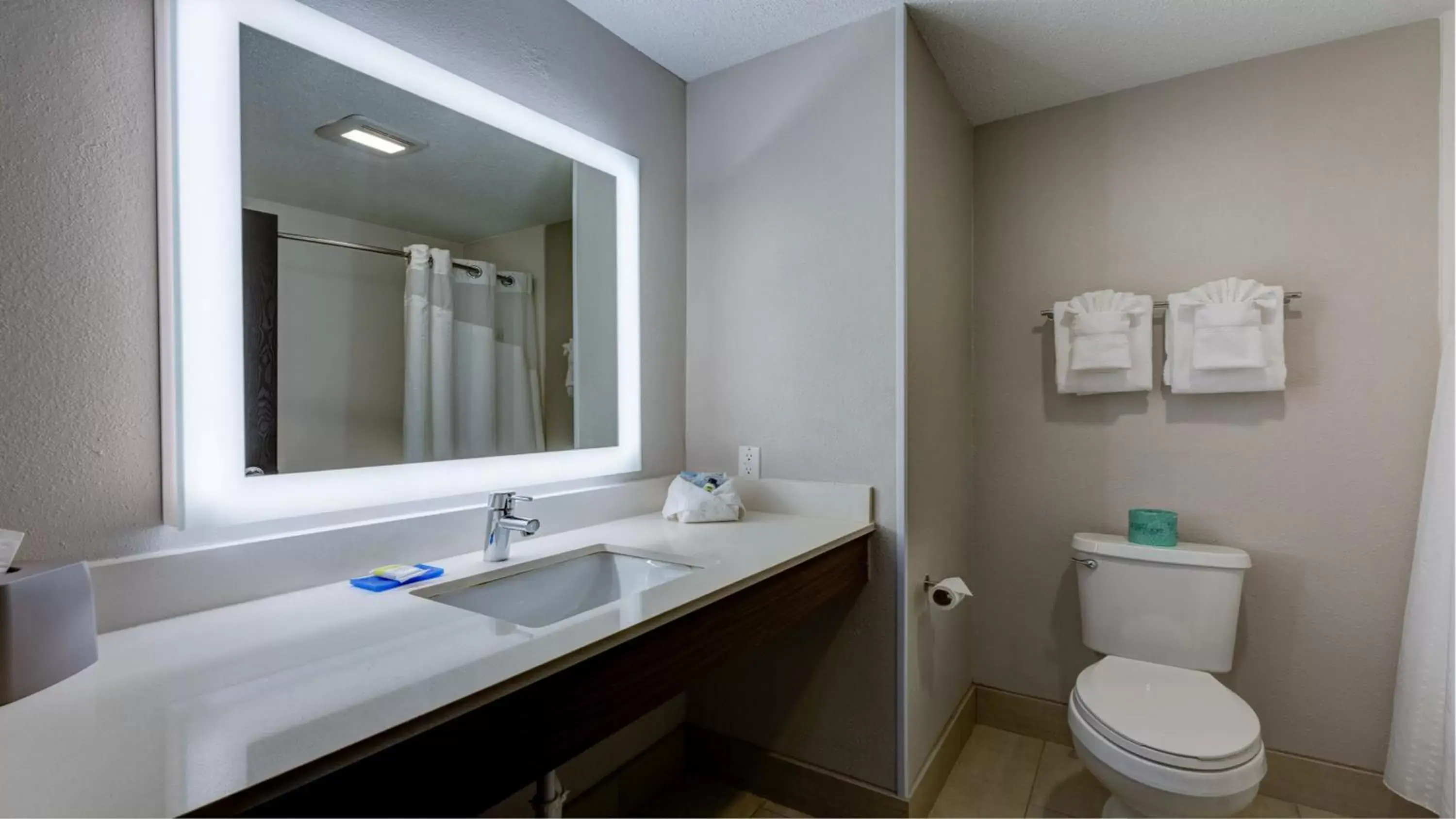 Photo of the whole room, Bathroom in Holiday Inn Express & Suites Ashtabula-Geneva, an IHG Hotel