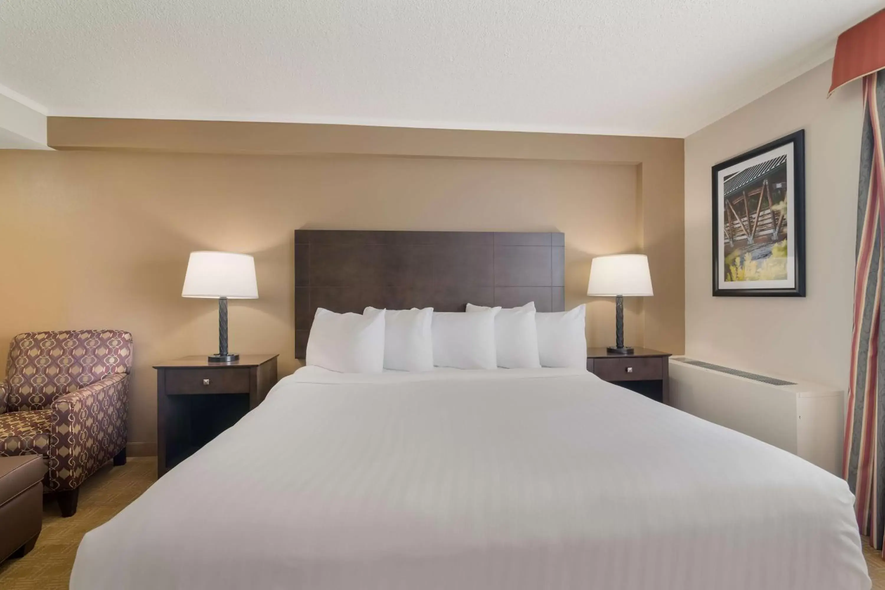 Bedroom, Bed in Best Western University Inn Bedroom, Bed in Best Western University Inn