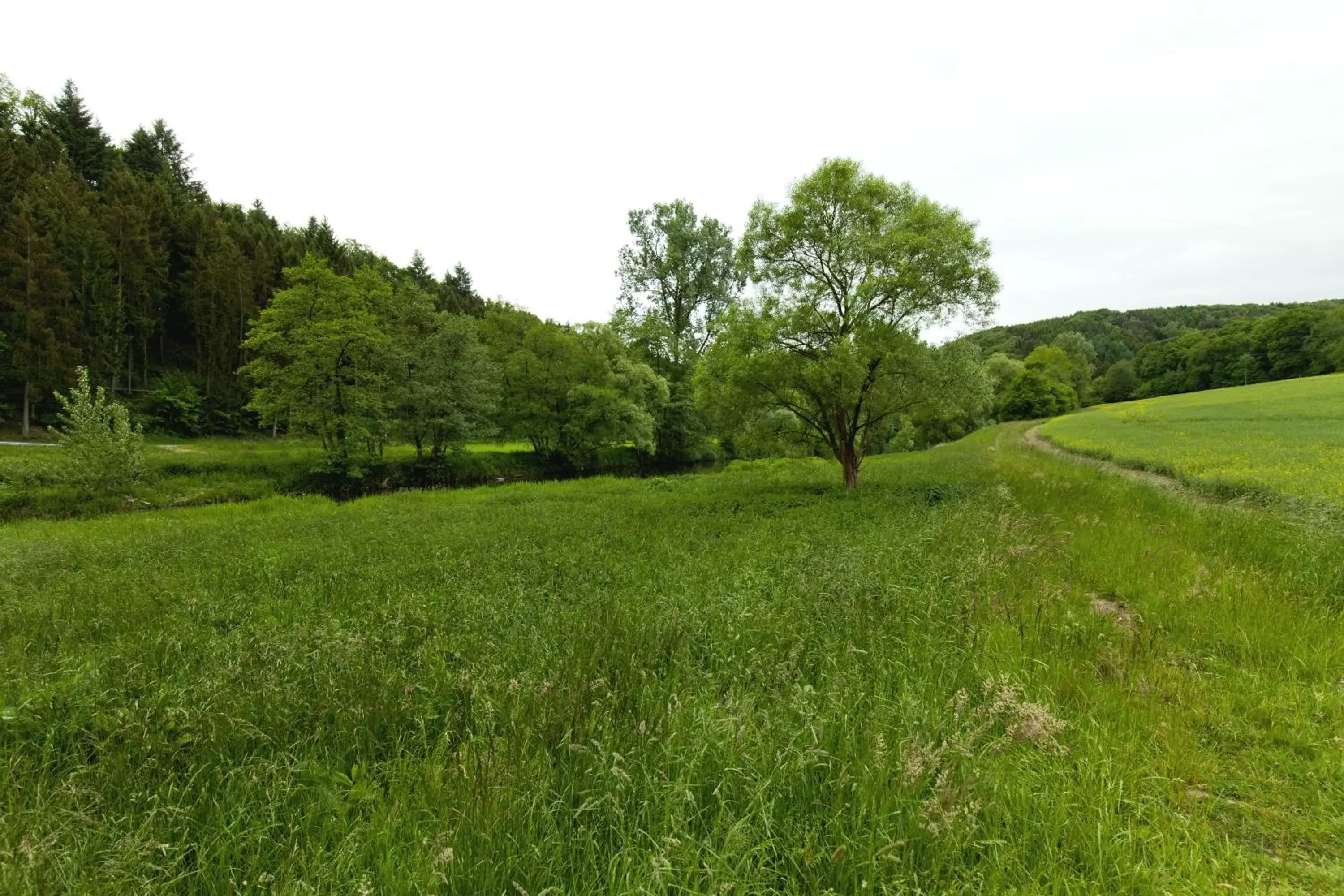 Natural landscape in Romantik Hotel Alte Vogtei