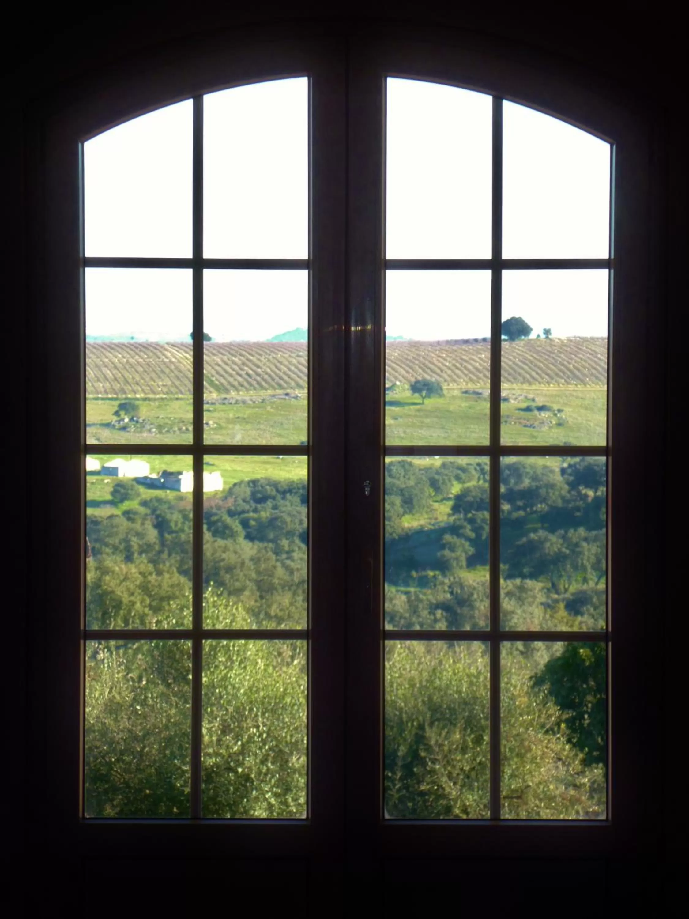 View (from property/room) in Hotel Rural Monte da Provença