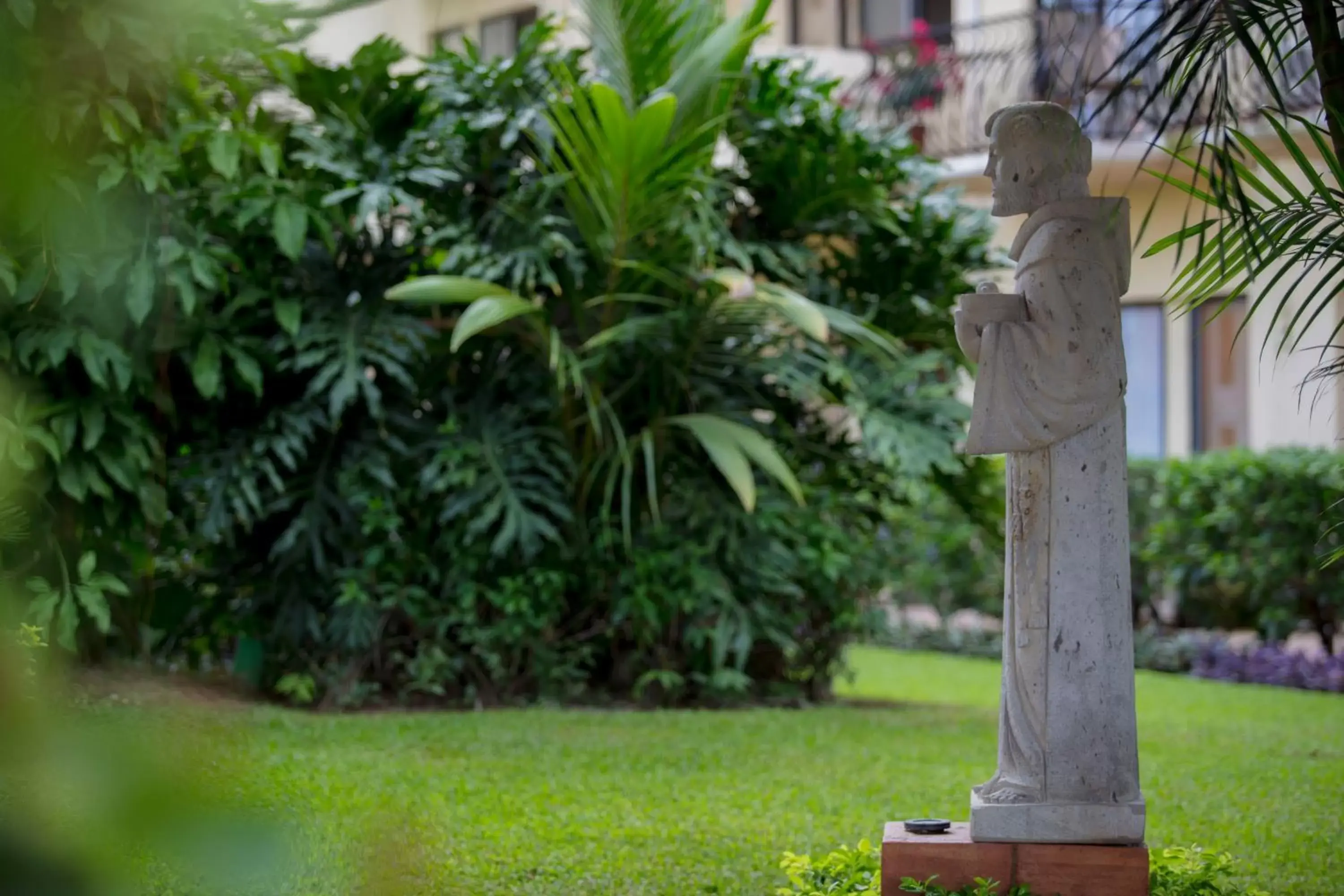 Garden in Flamingo Vallarta Hotel & Marina