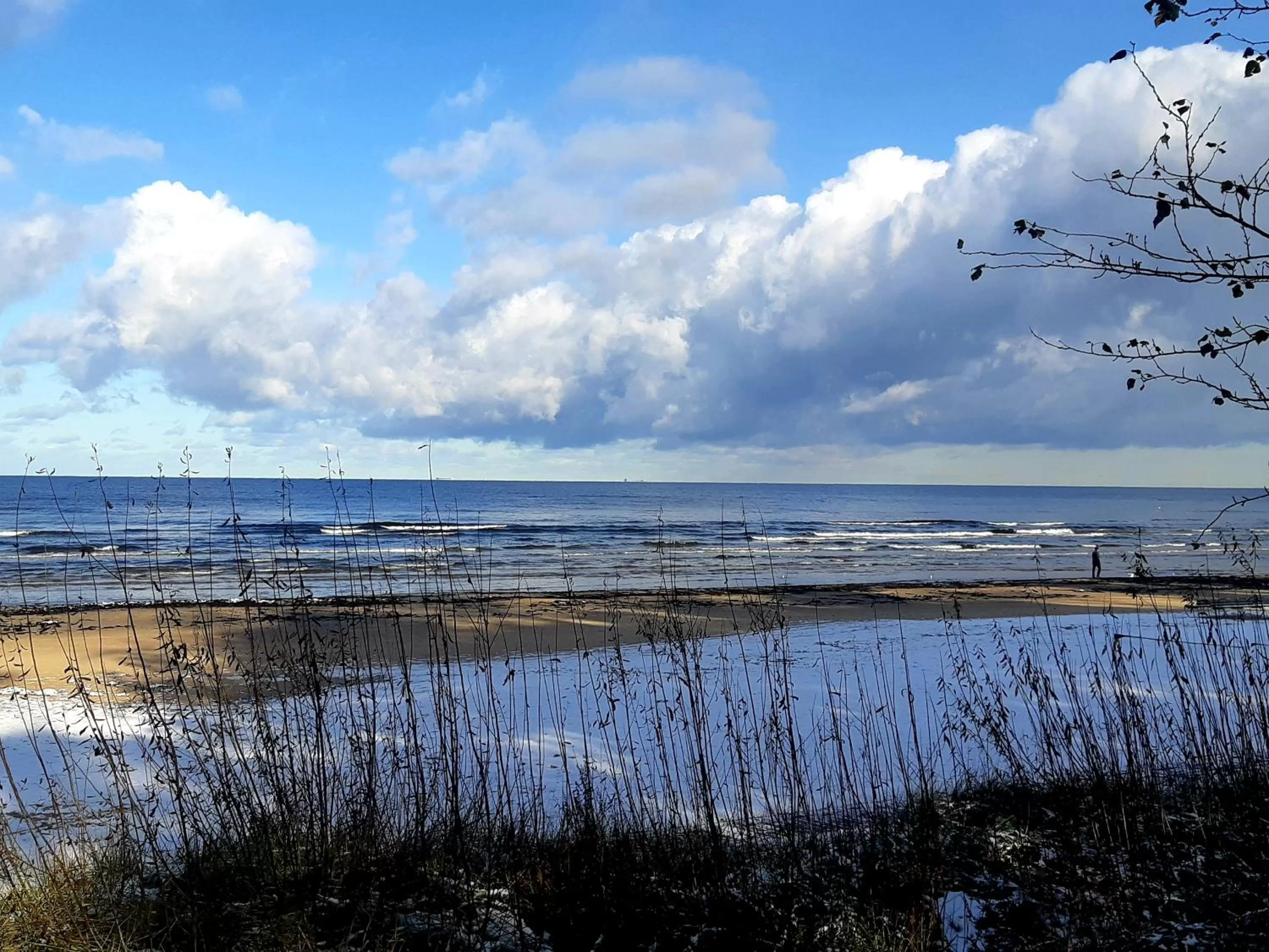 Natural landscape in Wooden Villa APARTMENTS