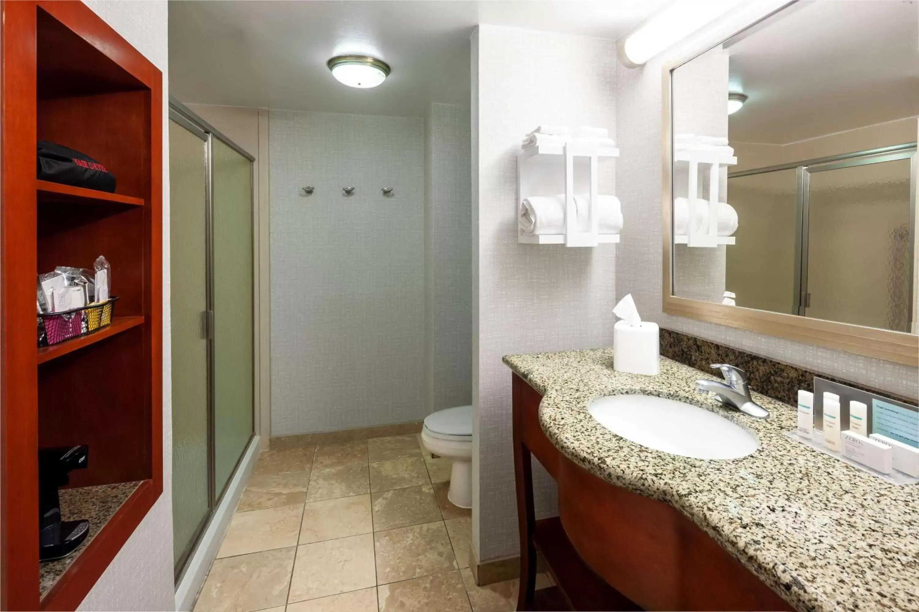 Bathroom in Hampton Inn & Suites Mobile I-65@ Airport Boulevard