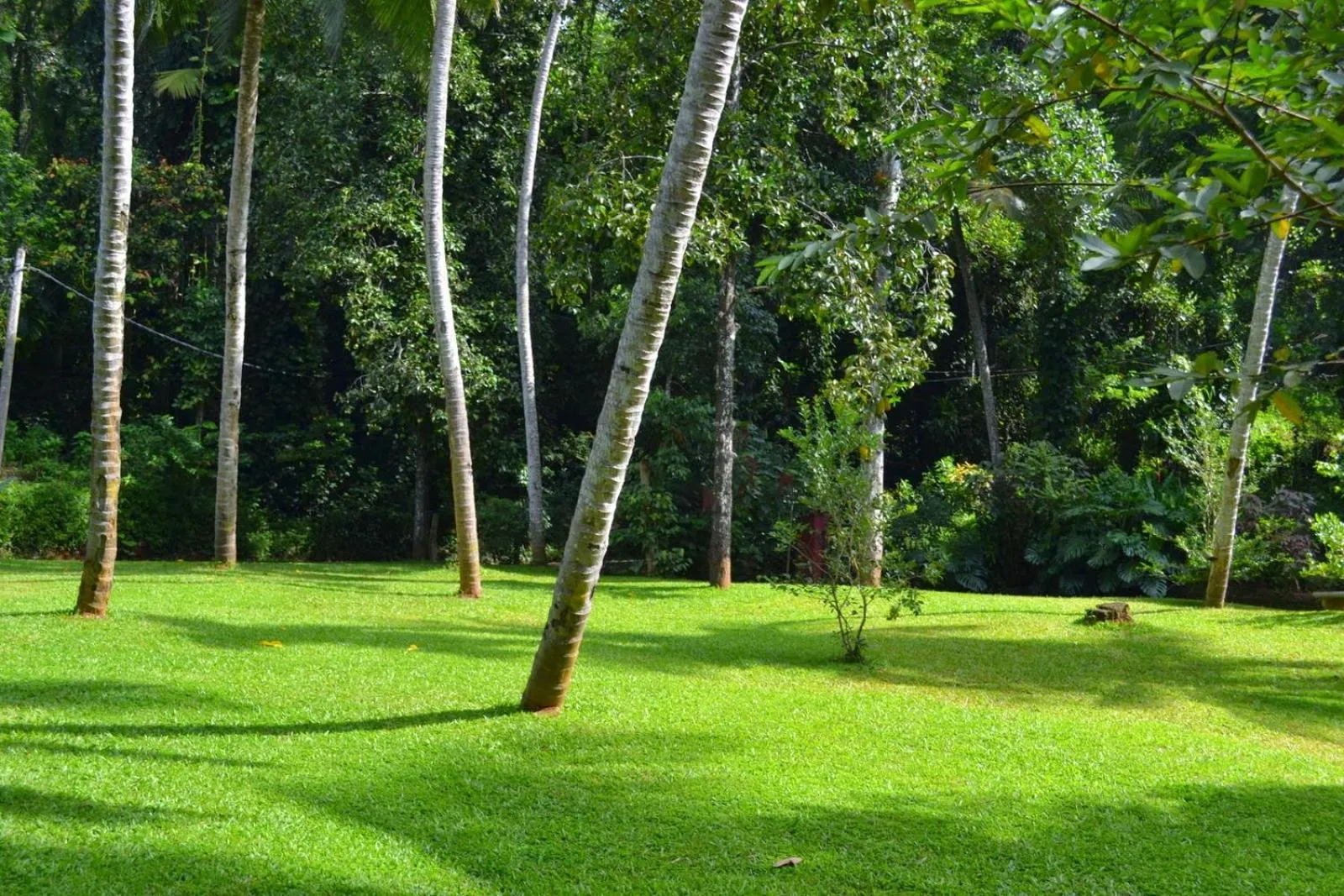 Natural landscape in Sweet Cinnamon Kandy