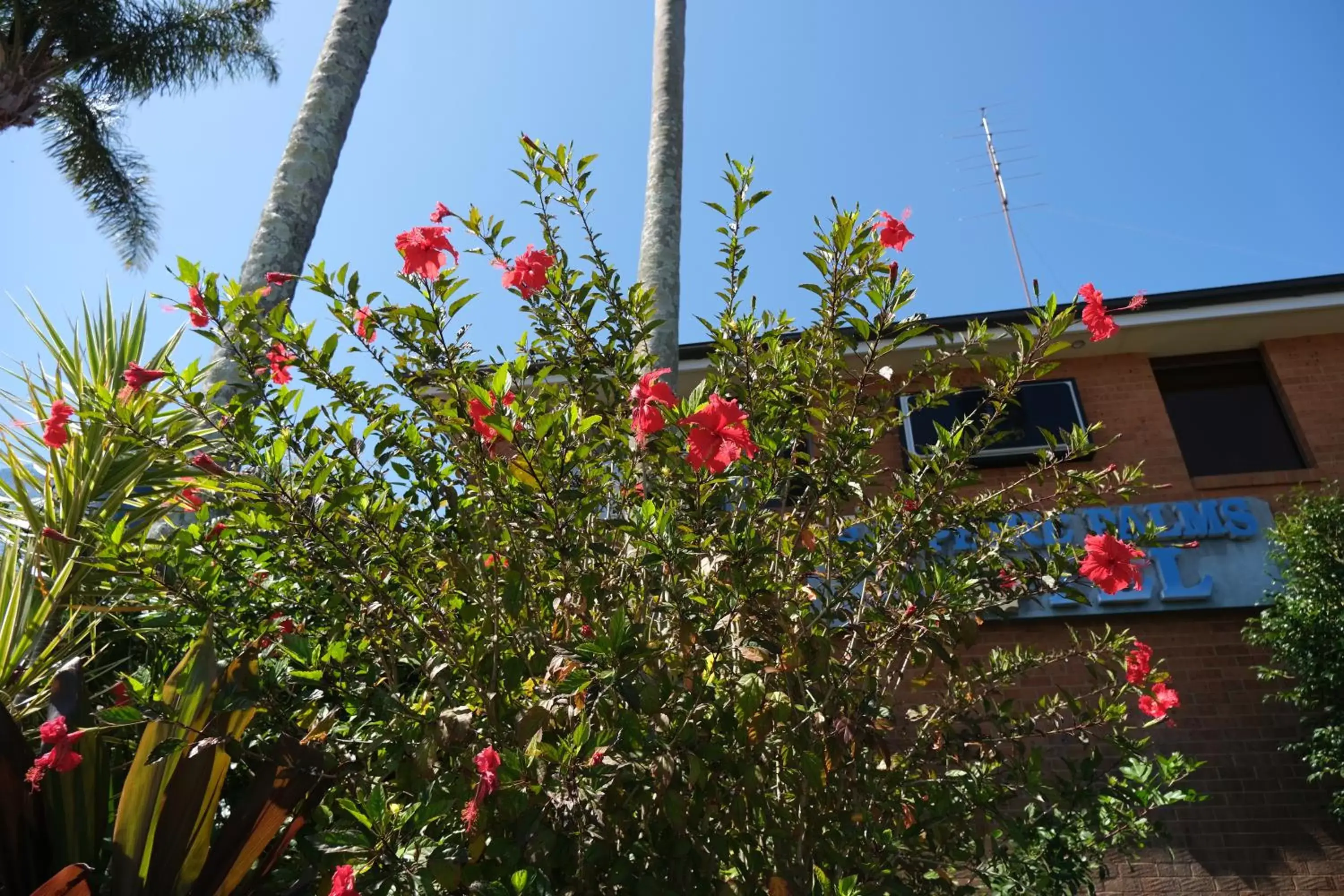 Facade/entrance, Property Building in Sapphire Palms Motel