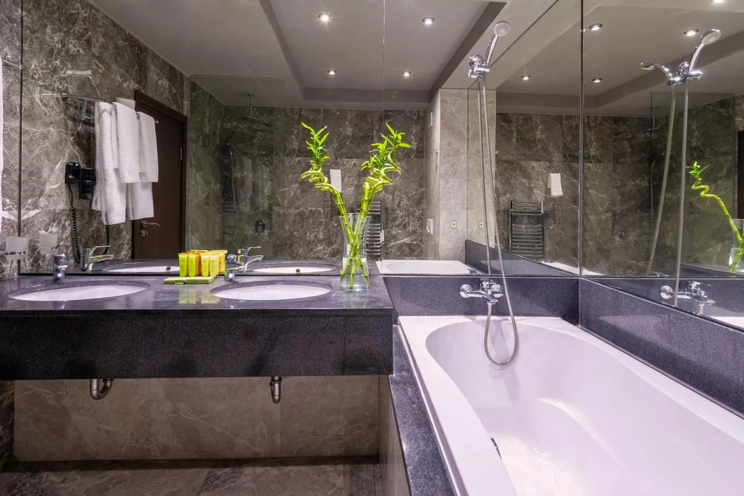 Bathroom in Royal Spa Hotel