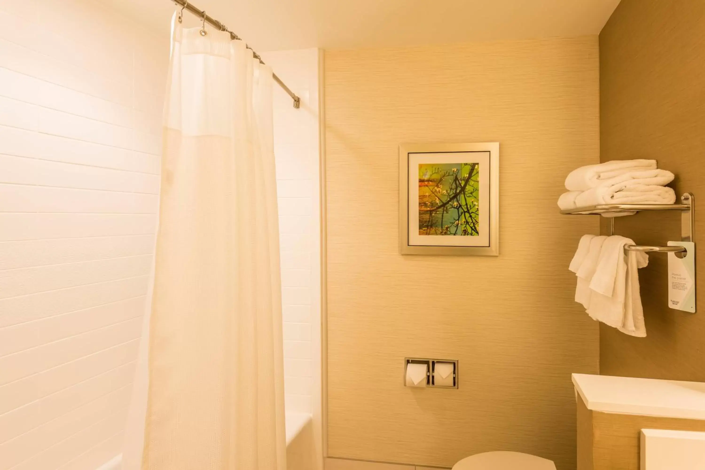 Bathroom in Fairfield Inn & Suites by Marriott Mobile Saraland