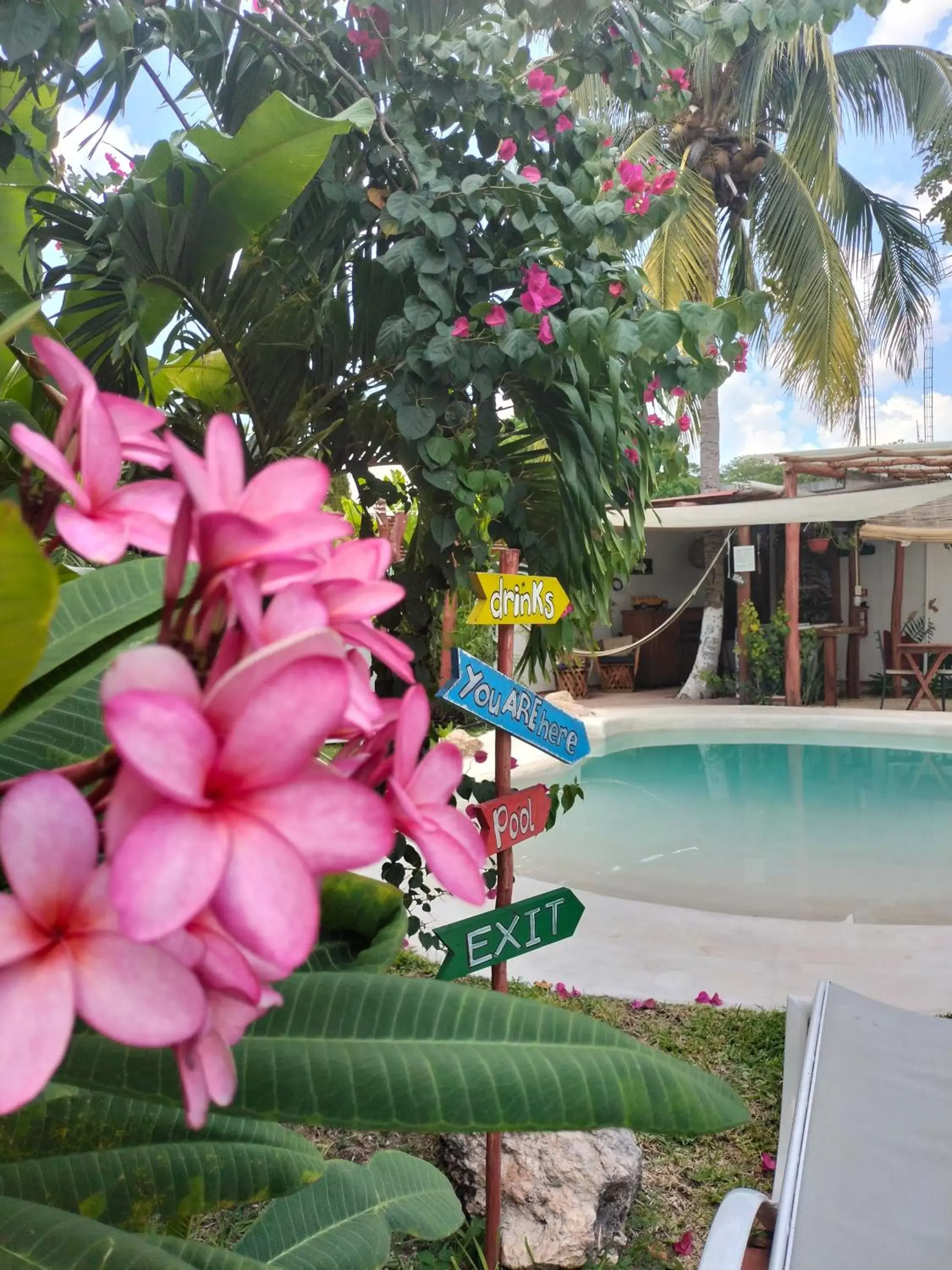 Pool view, Swimming Pool in teki-sha home&suites