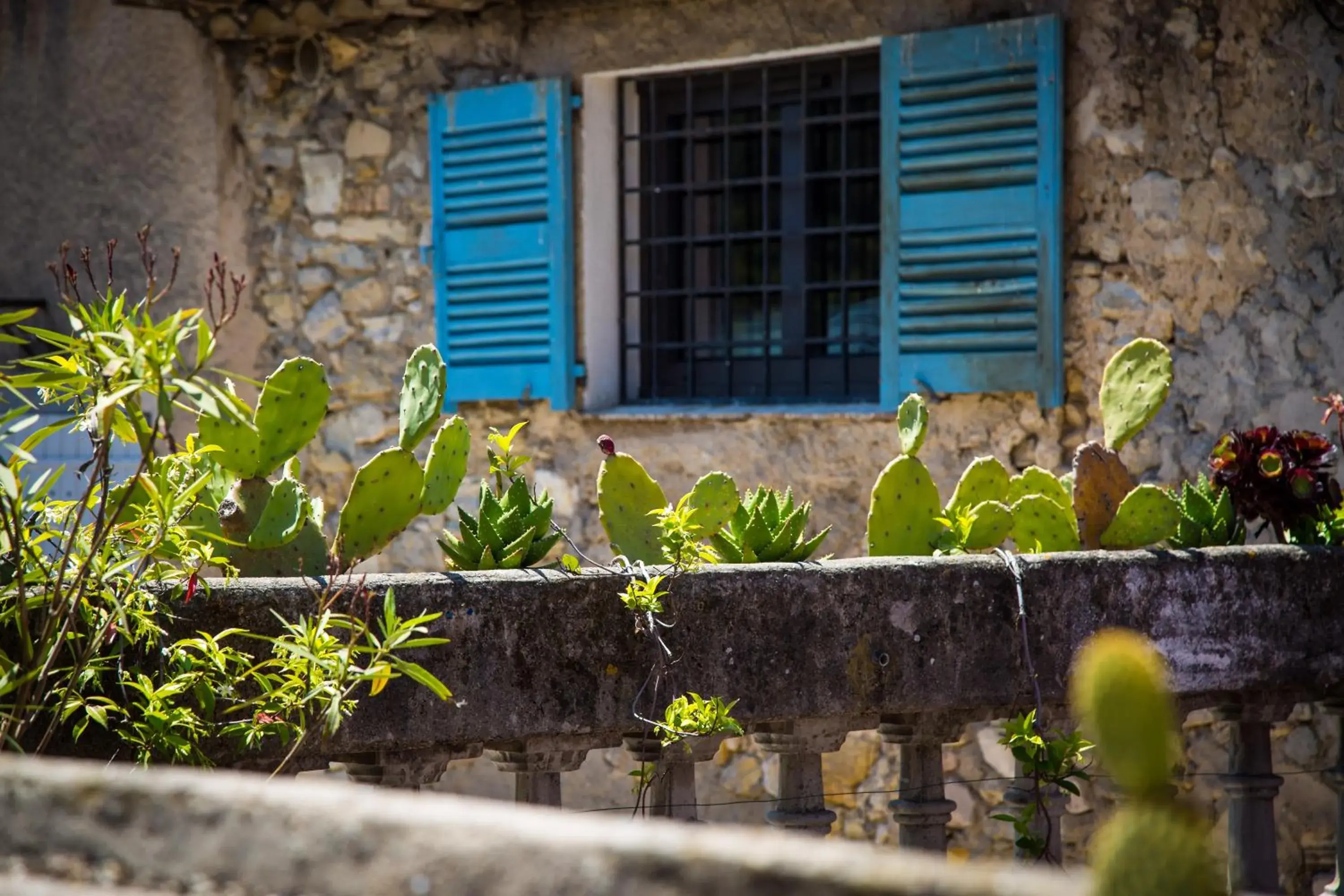 Garden in Hotel les Armoiries