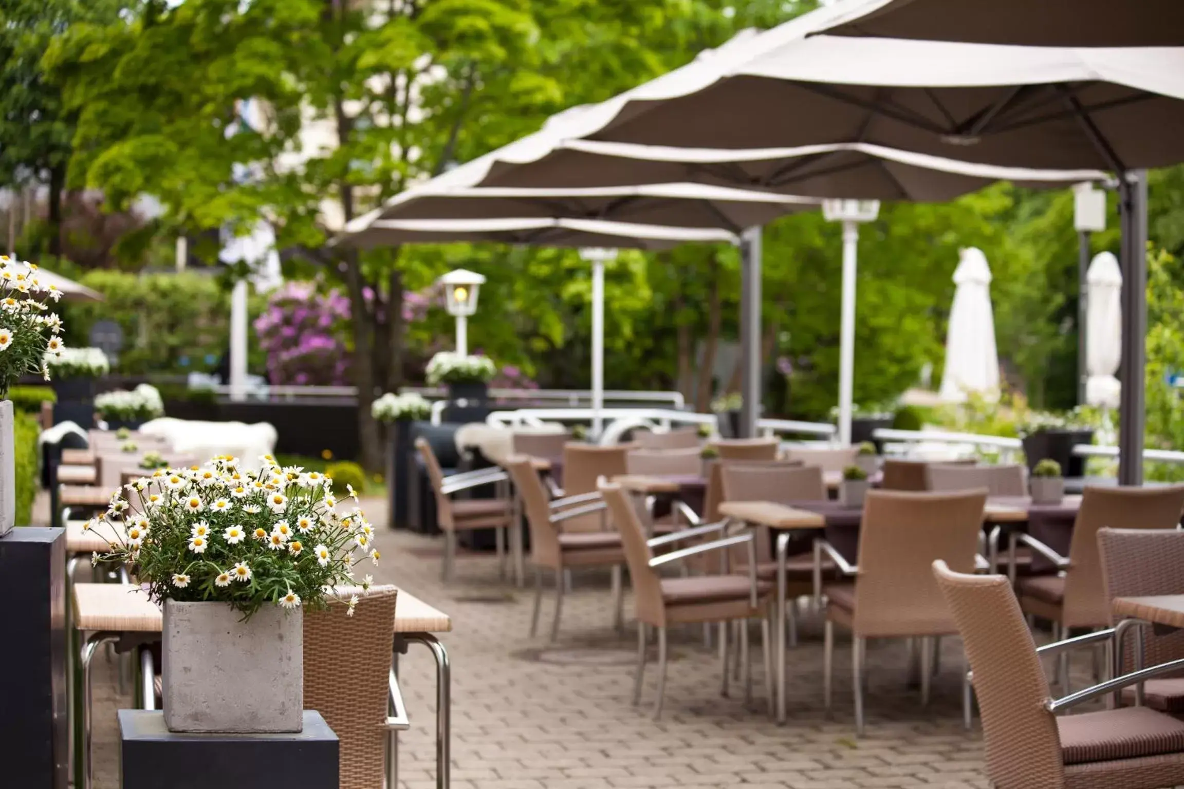 Balcony/Terrace, Restaurant/Places to Eat in relexa hotel Bad Steben GmbH