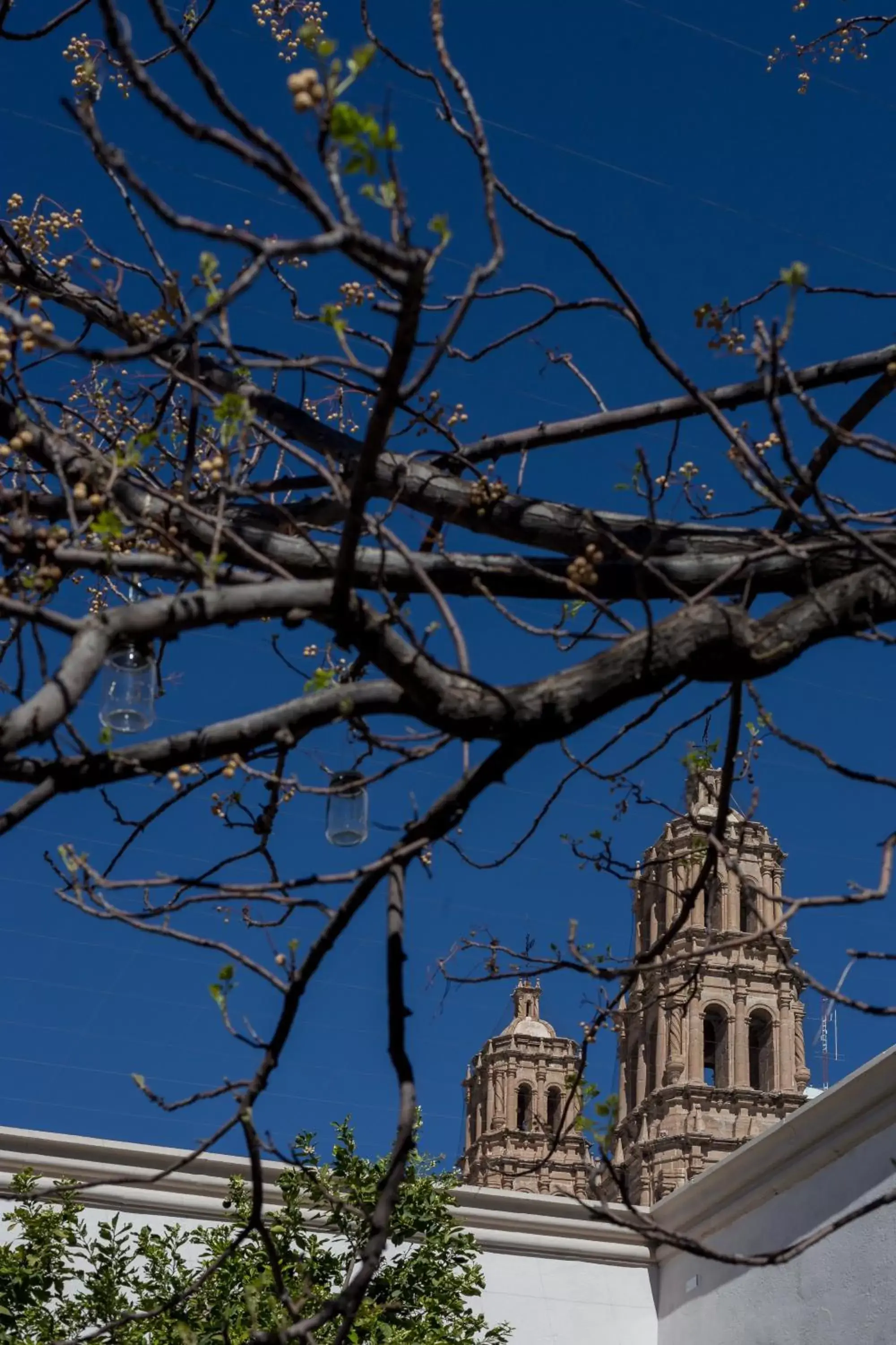 Landmark view in Central Hotel Boutique Landmark view in Central Hotel Boutique