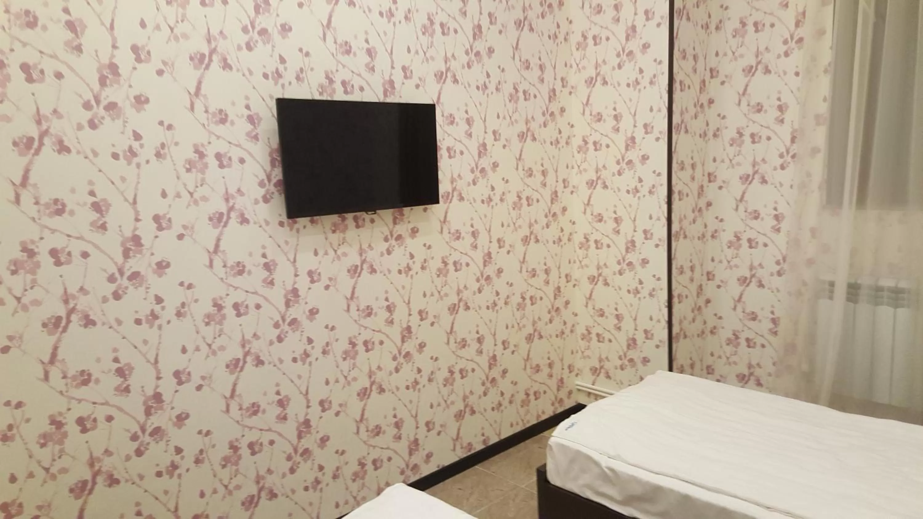 Bed, TV/Entertainment Center in Eridana Hotel