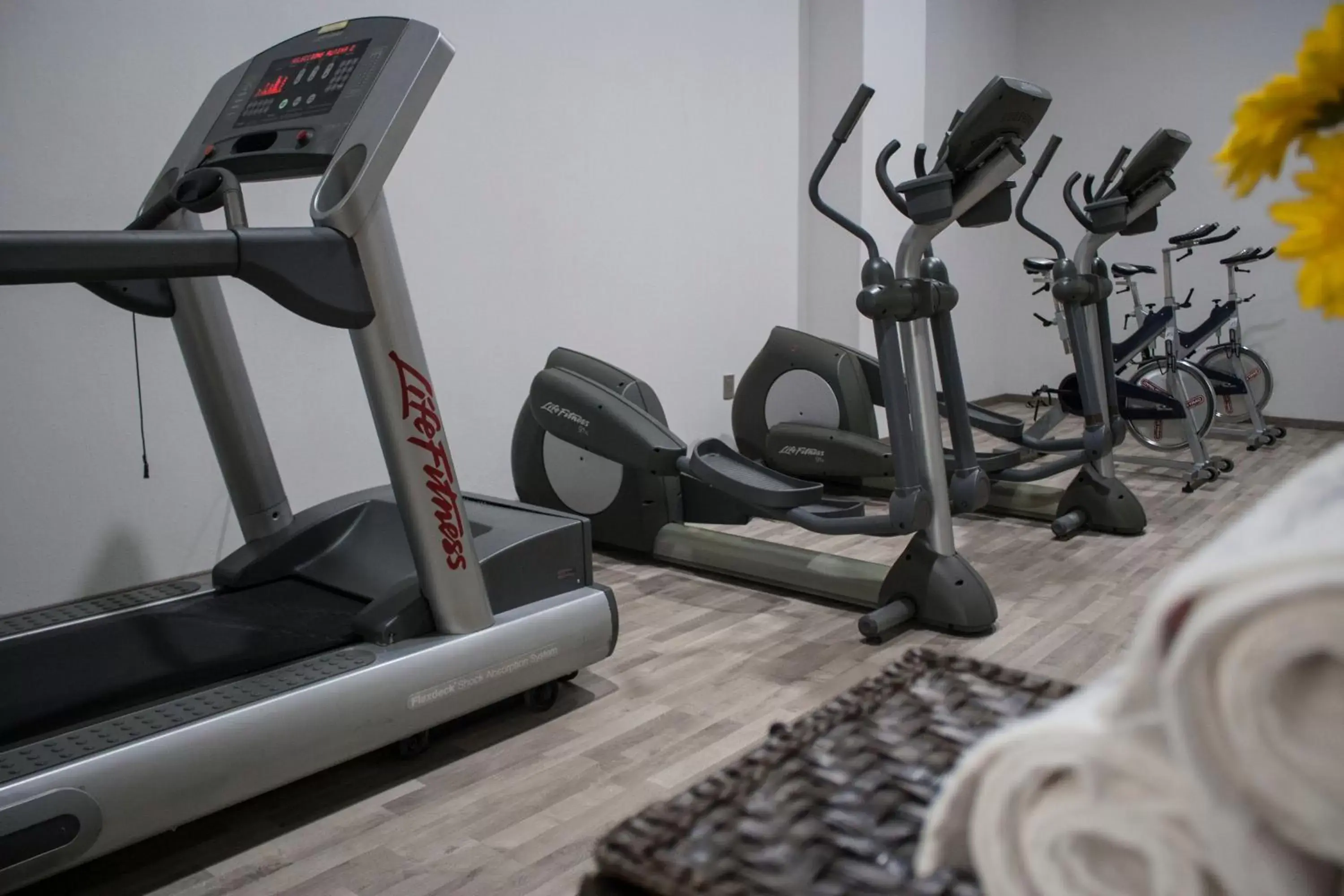 Fitness centre/facilities, Fitness Center/Facilities in Hotel Casino Plaza