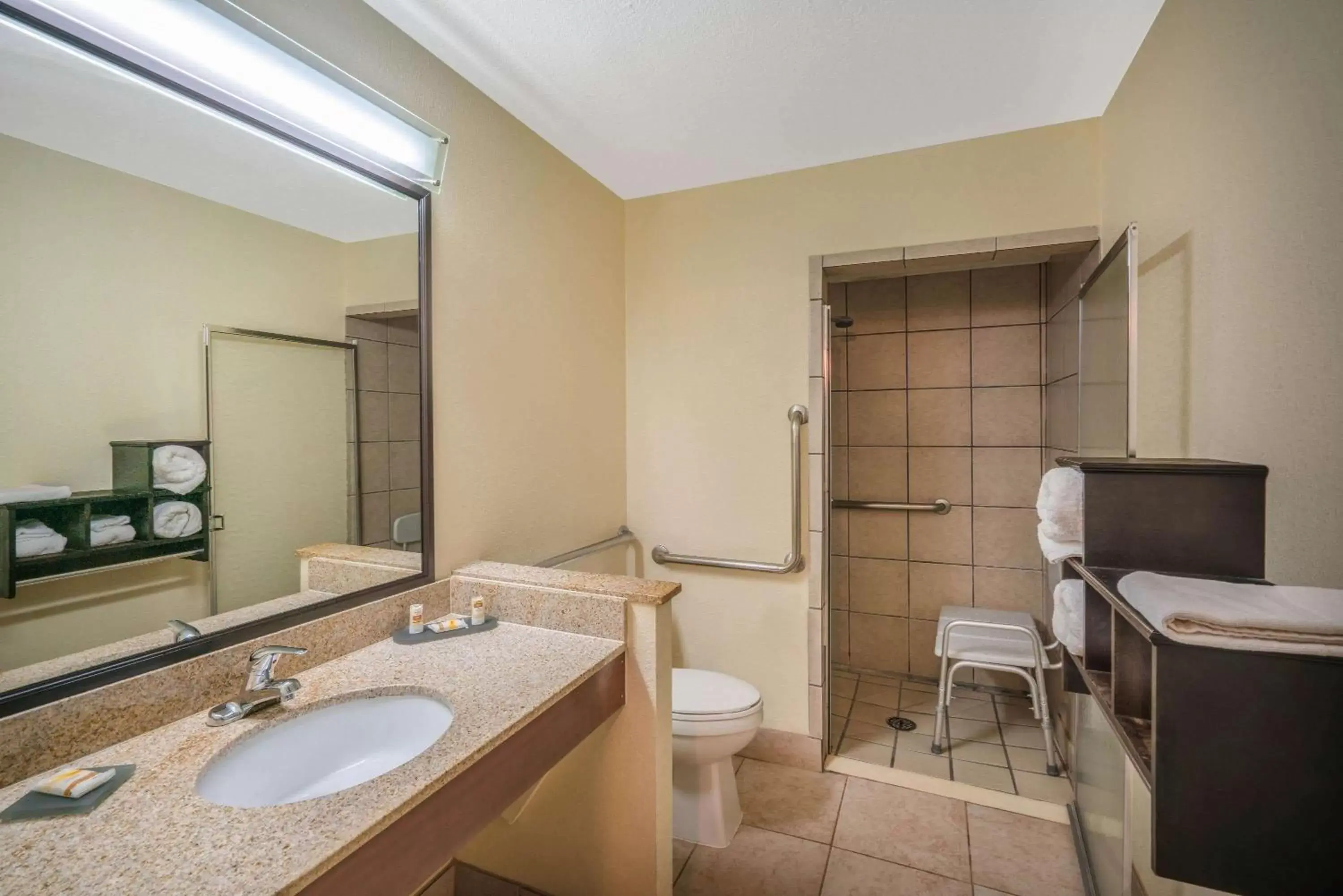 Shower, Bathroom in La Quinta by Wyndham Memphis Airport Graceland