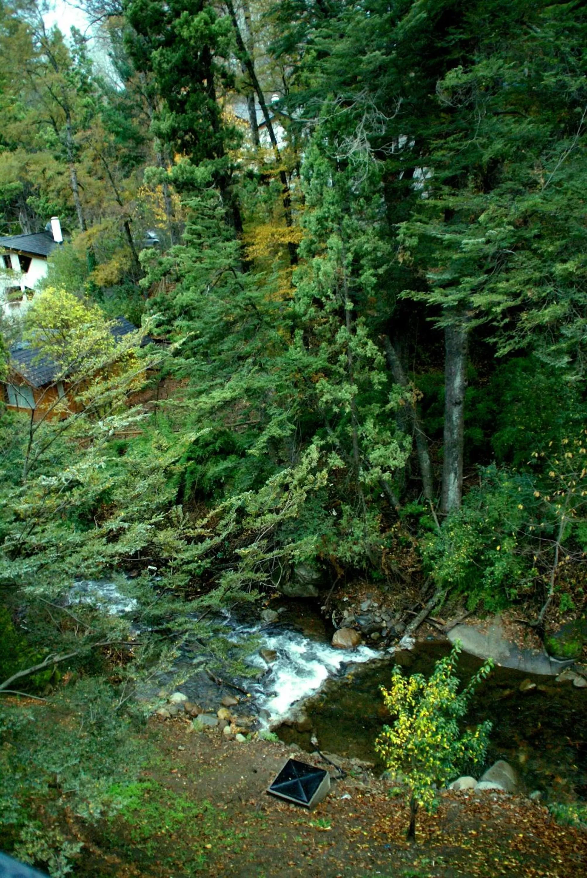 Off site in El Oasis Apart Hotel