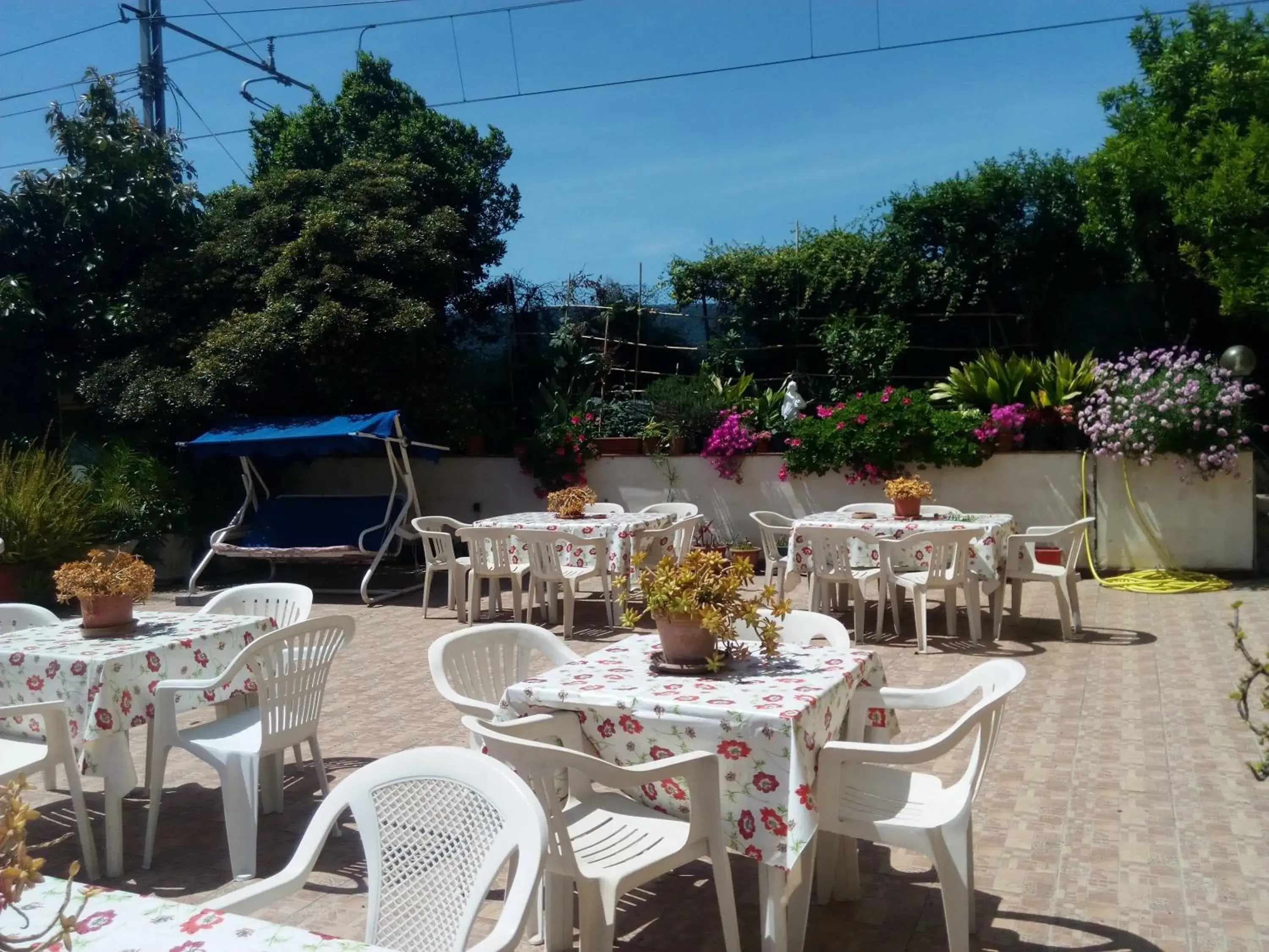 Garden, Restaurant/Places to Eat in Hotel Eliseo