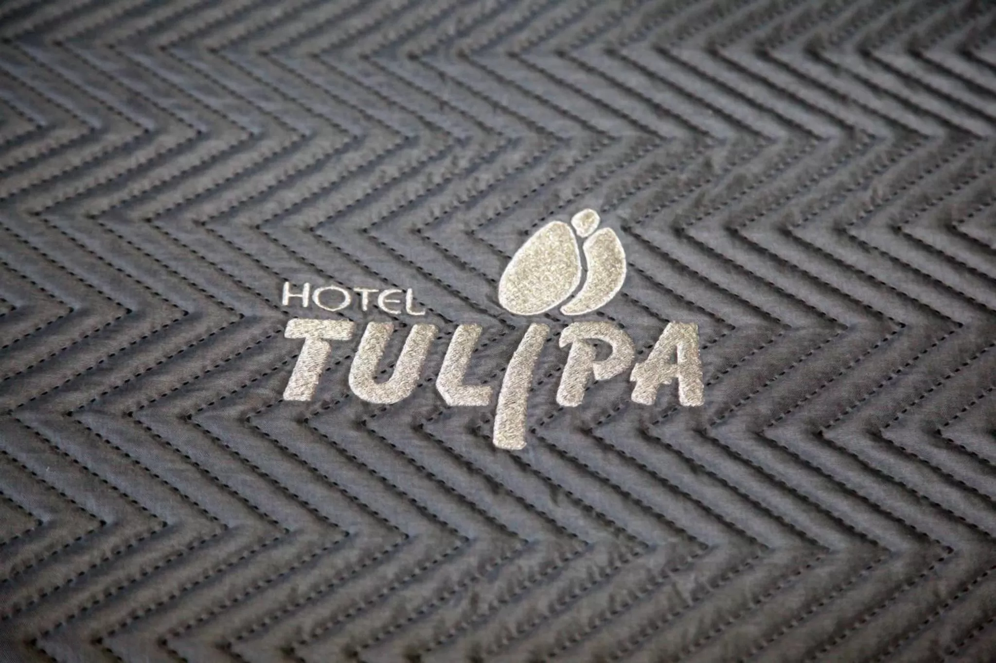 Property logo or sign in Hotel Tulipa