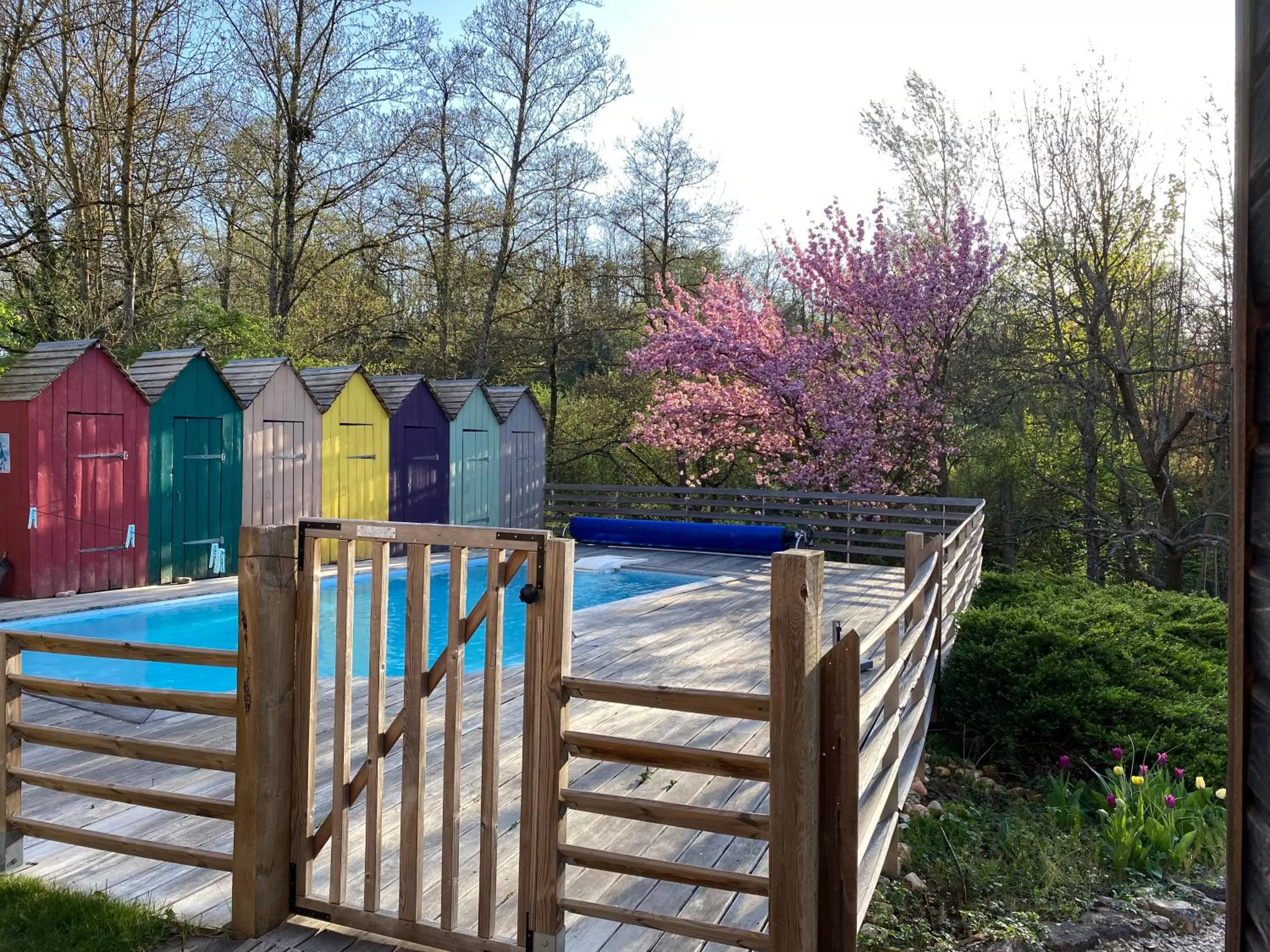Pool view, Swimming Pool in Les Cabanons