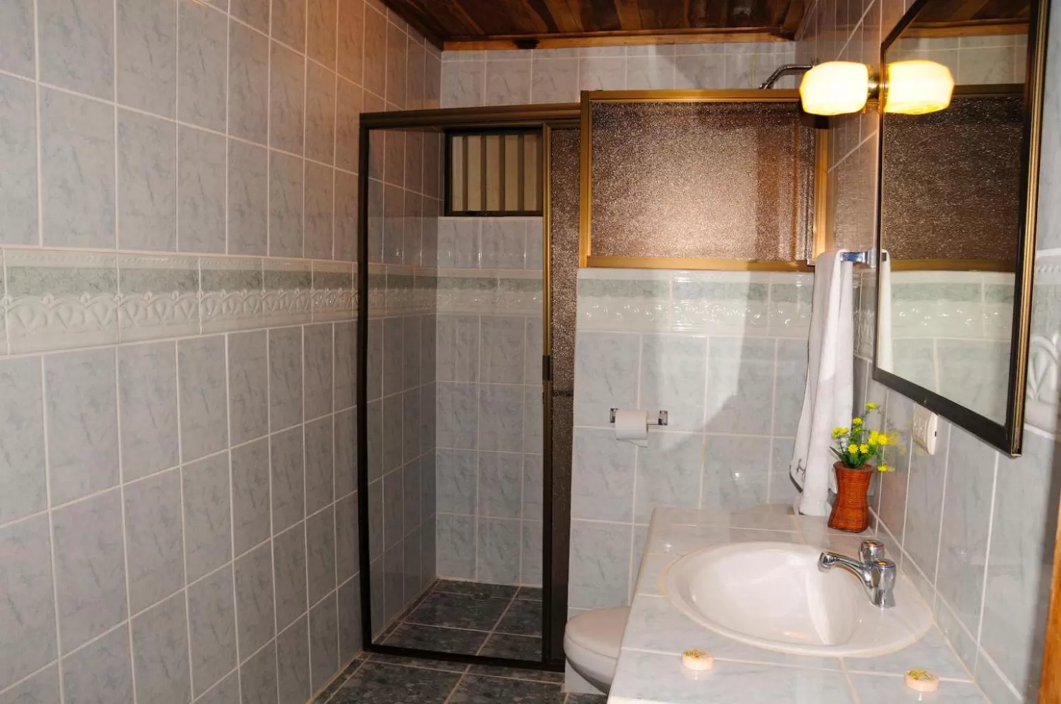 Shower, Bathroom in Hotel Javy