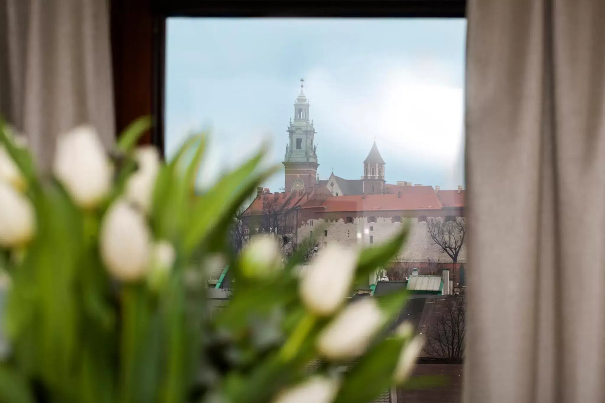 City view in Benefis Boutique Hotel