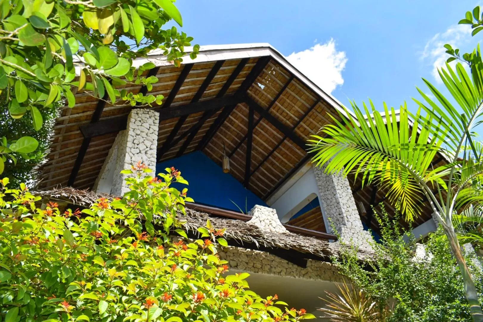 Photo of the whole room in The Blue Orchid Resort