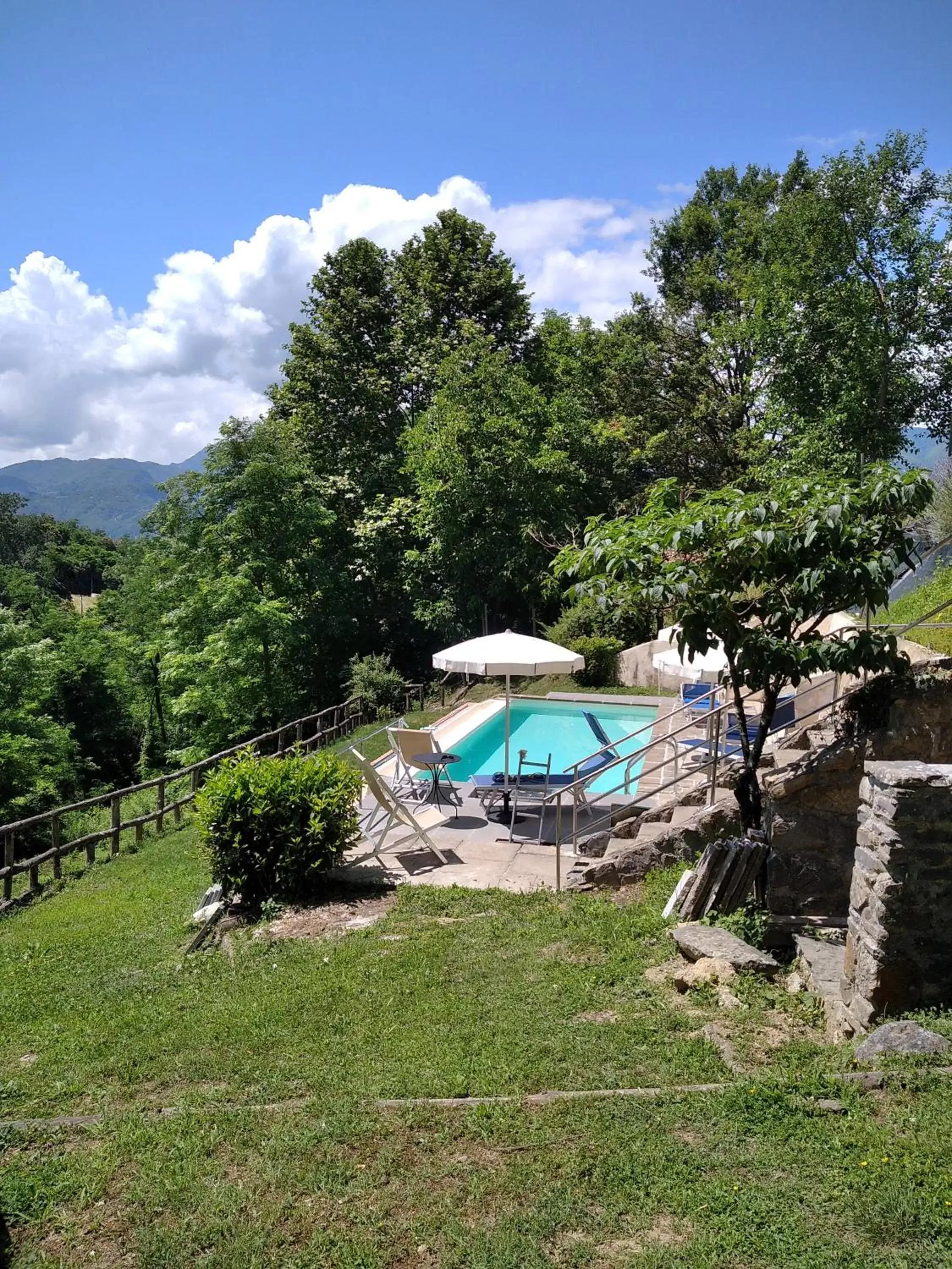 Swimming Pool in Villa Belvedere