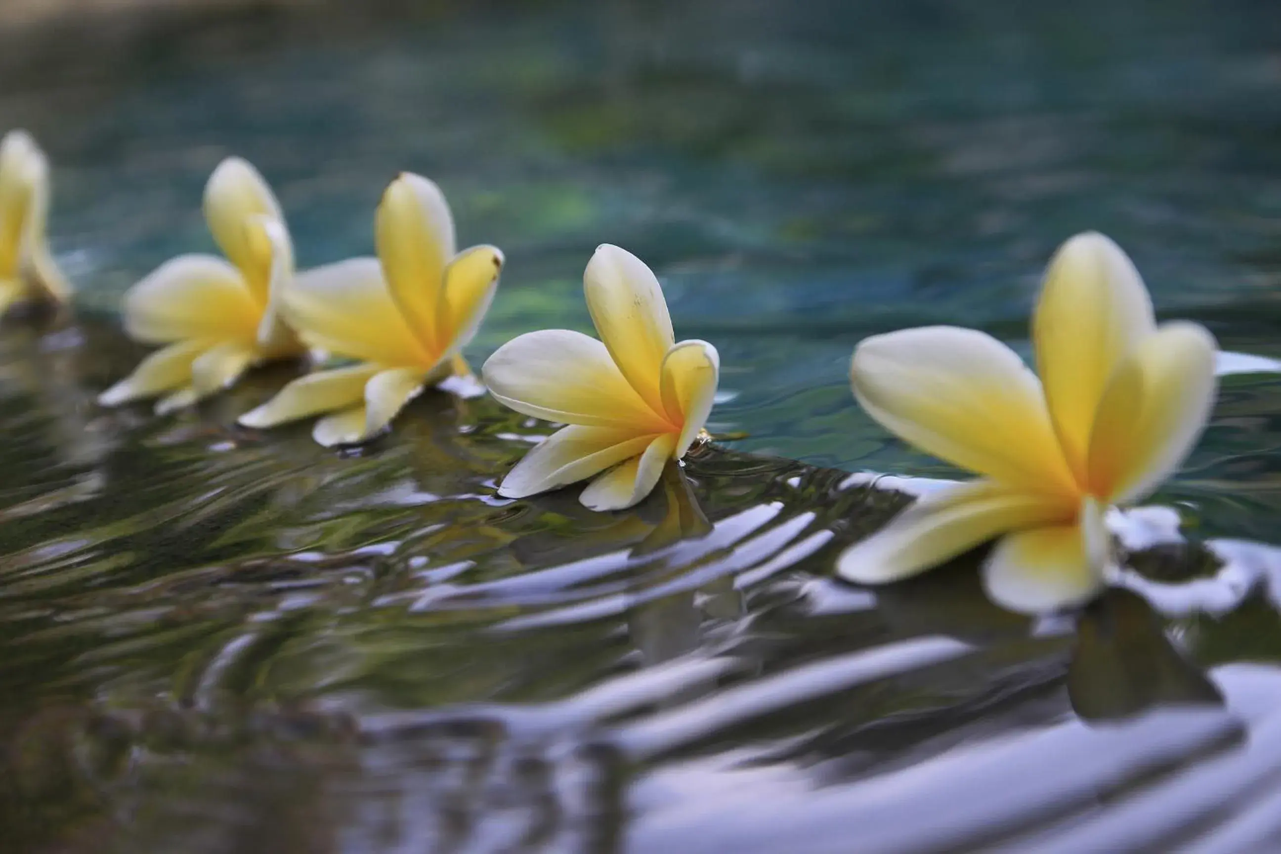 Day in Ubud Syailendra Heritage Villas by EPS