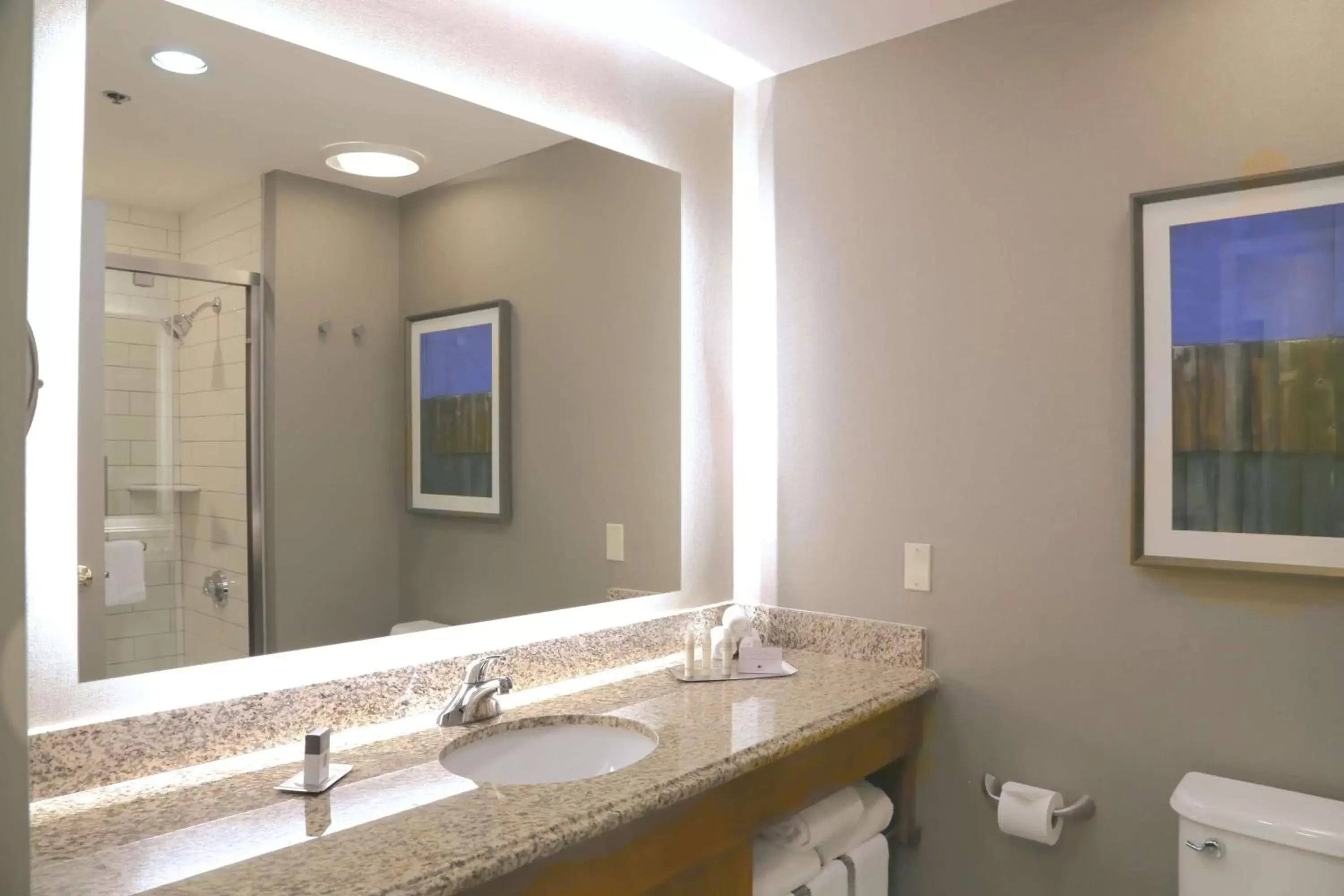 Bathroom in DoubleTree by Hilton Boston-Rockland