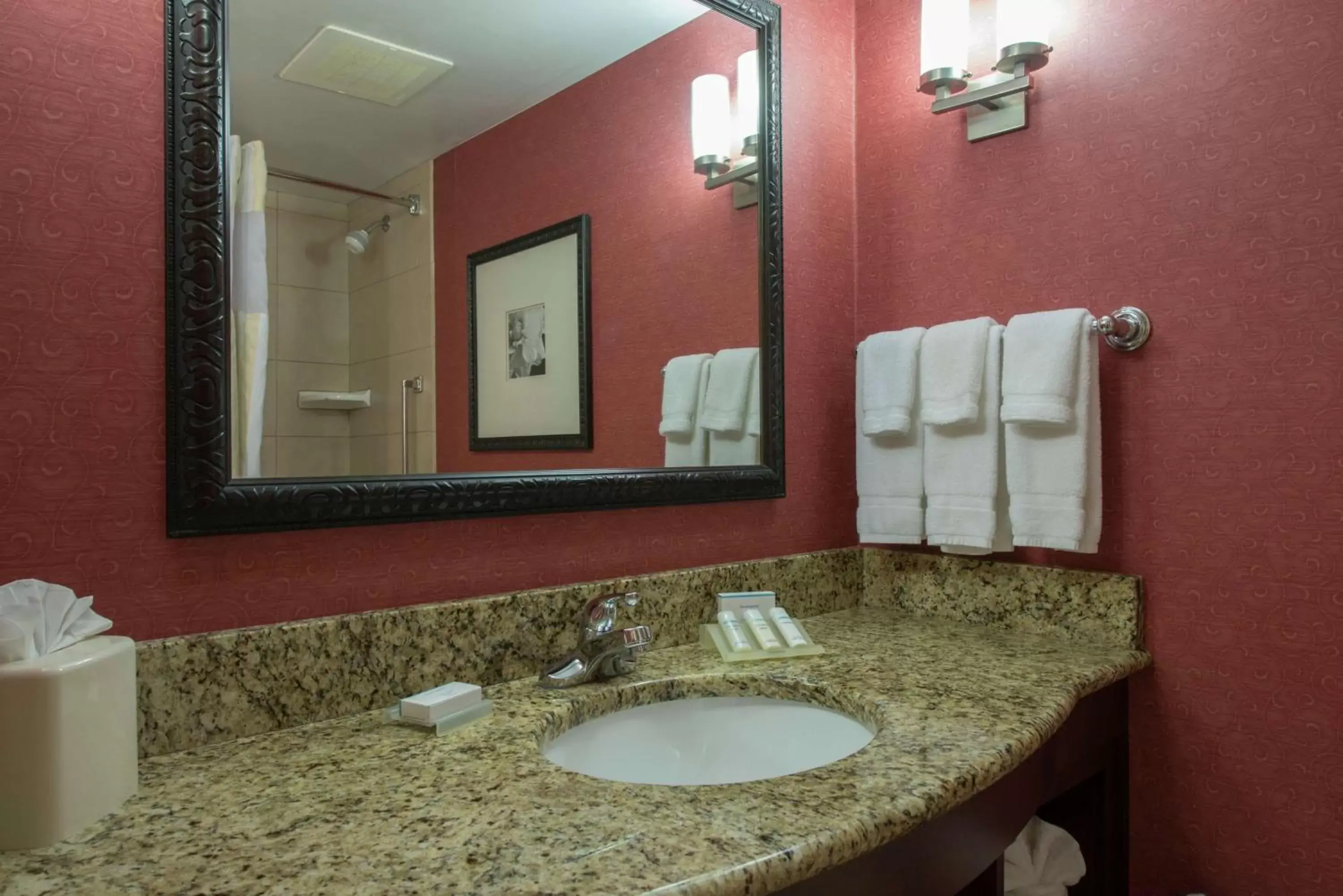 Bathroom in Hilton Garden Inn Tupelo