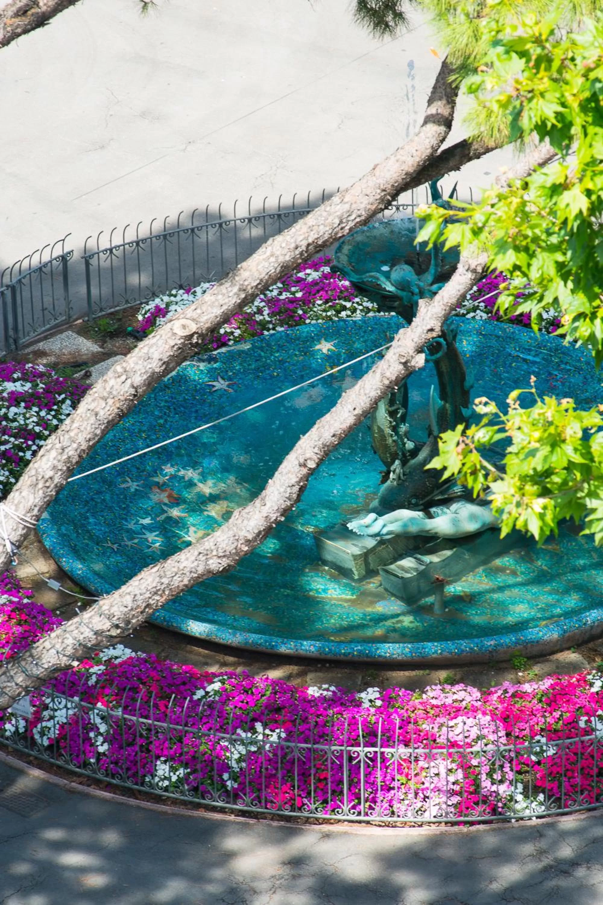 Area and facilities in Hotel Cristallo