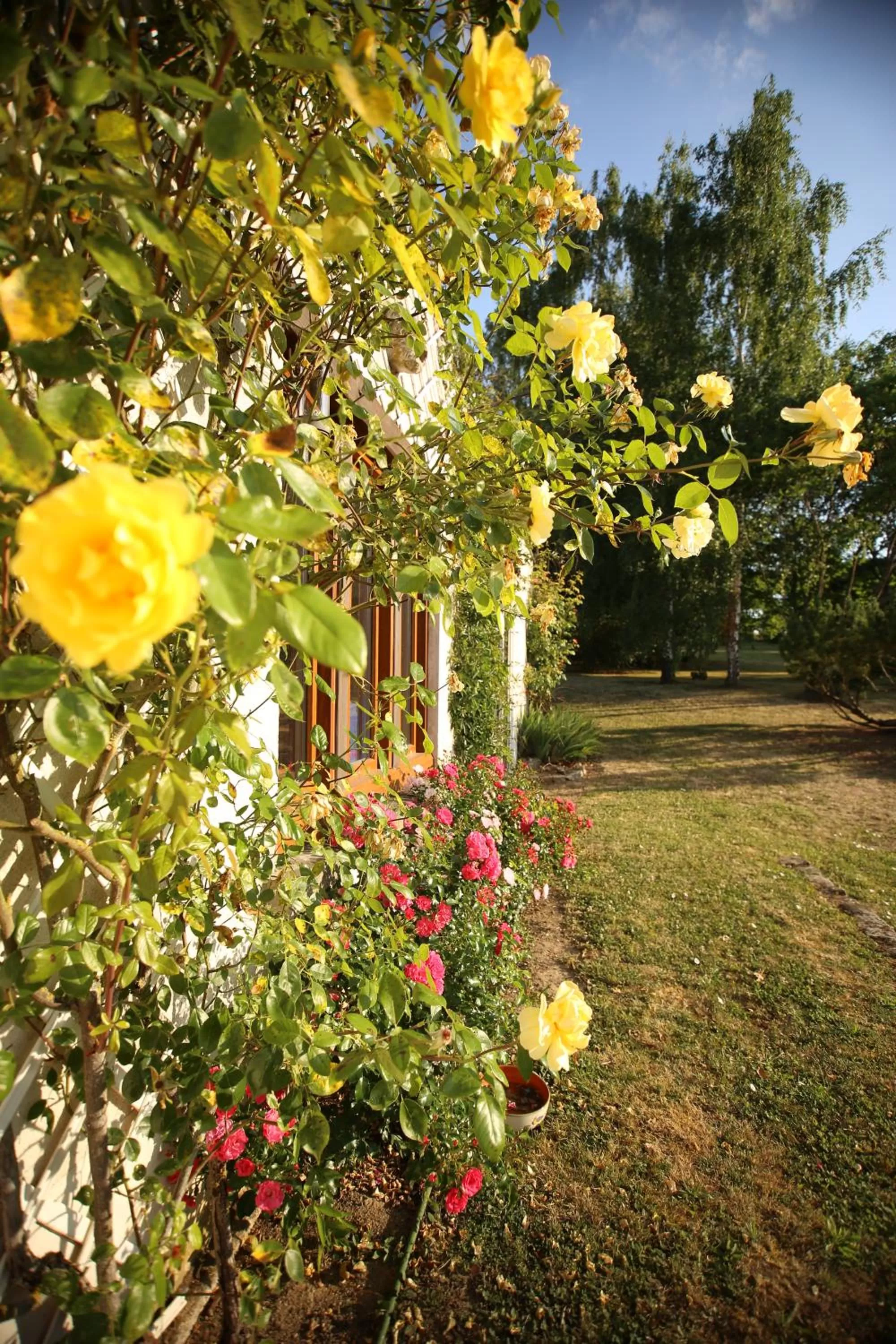 Property building in Les Rêves de Flamboin