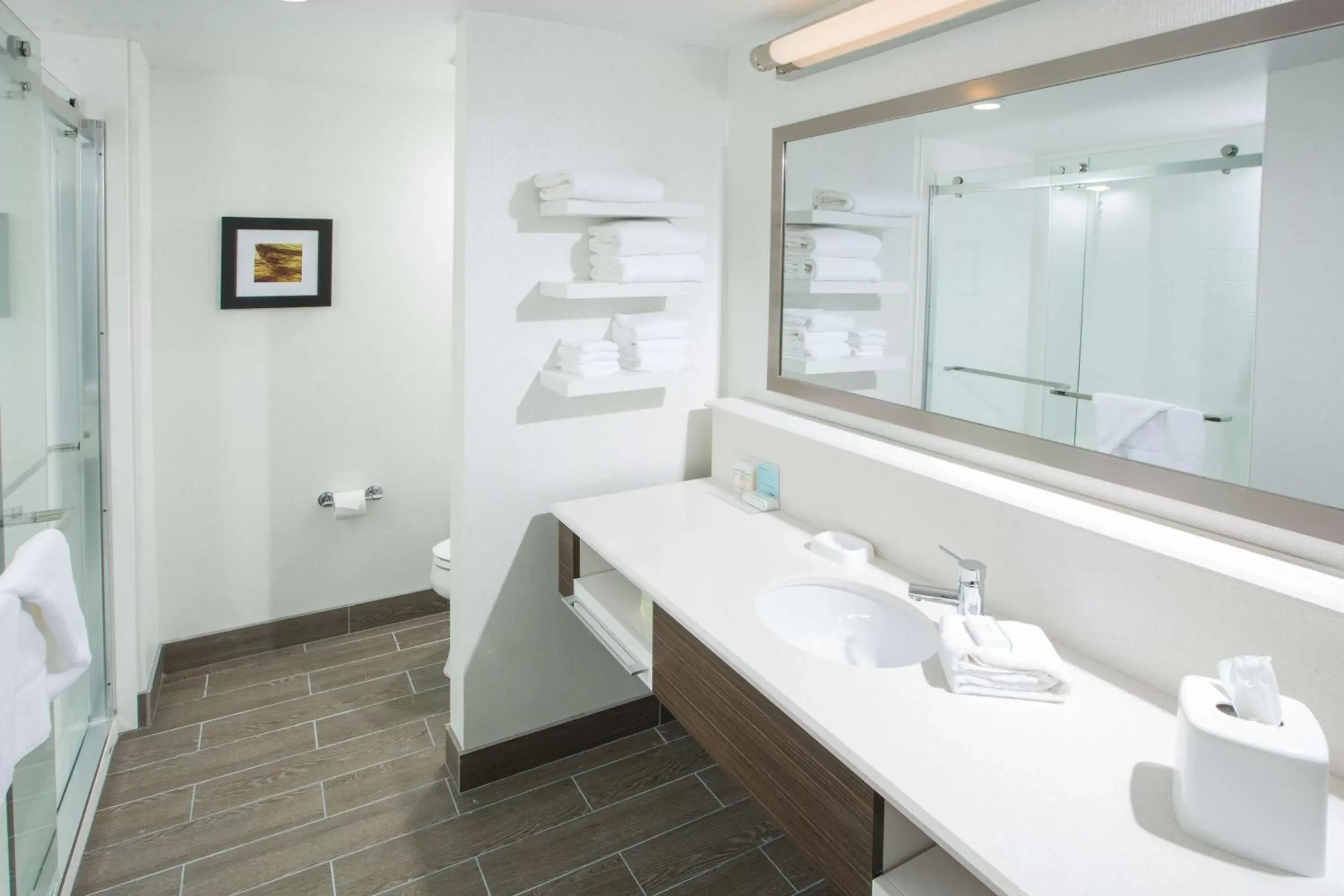 Bathroom in Hampton Inn & Suites Buellton/Santa Ynez Valley, Ca