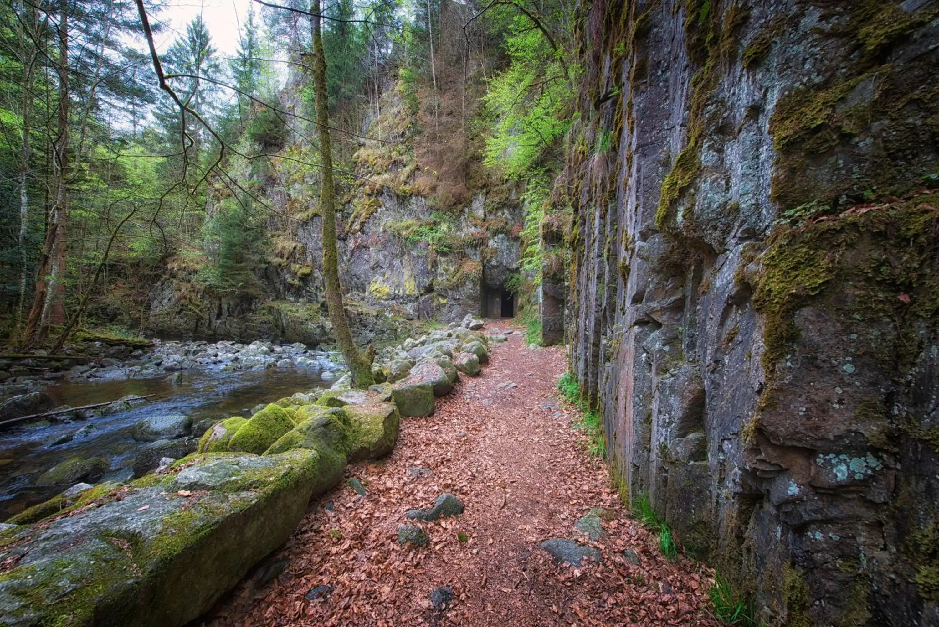 Hiking, Natural Landscape in Ferienpark Geyersberg