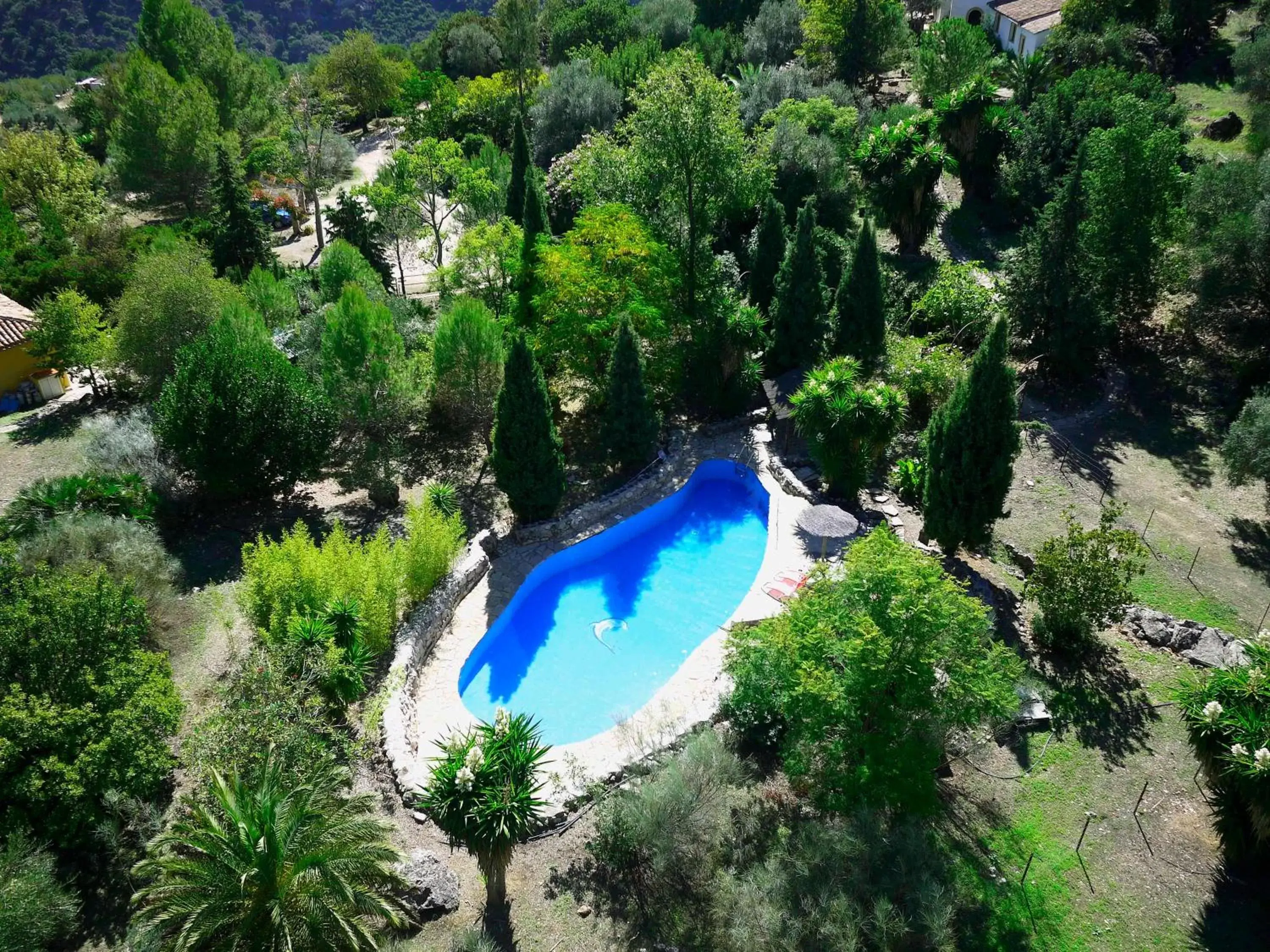 Garden, Pool View in Casas Rurales Los Algarrobales
