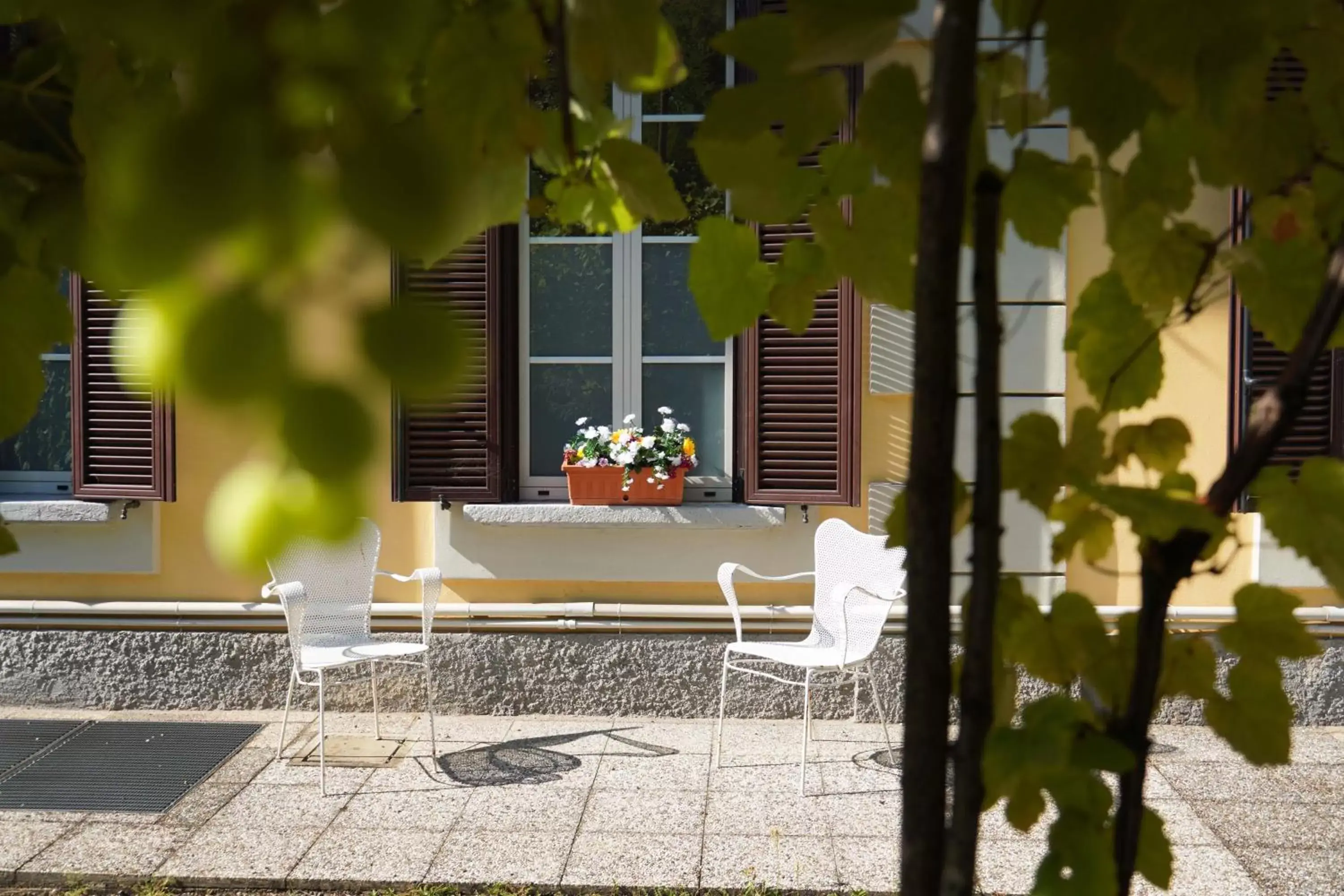 Garden in CiaoMi - Hotel, Hostel & Long Stay