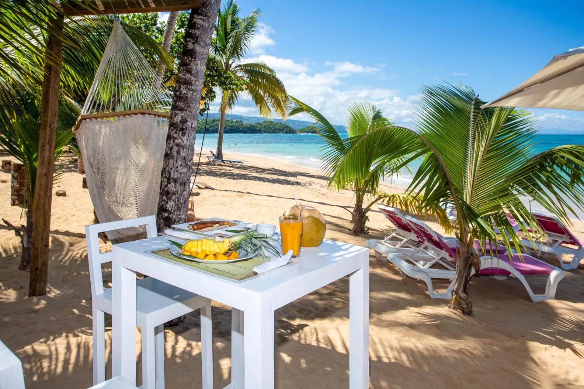 Food and drinks in Louisa Aparthotel