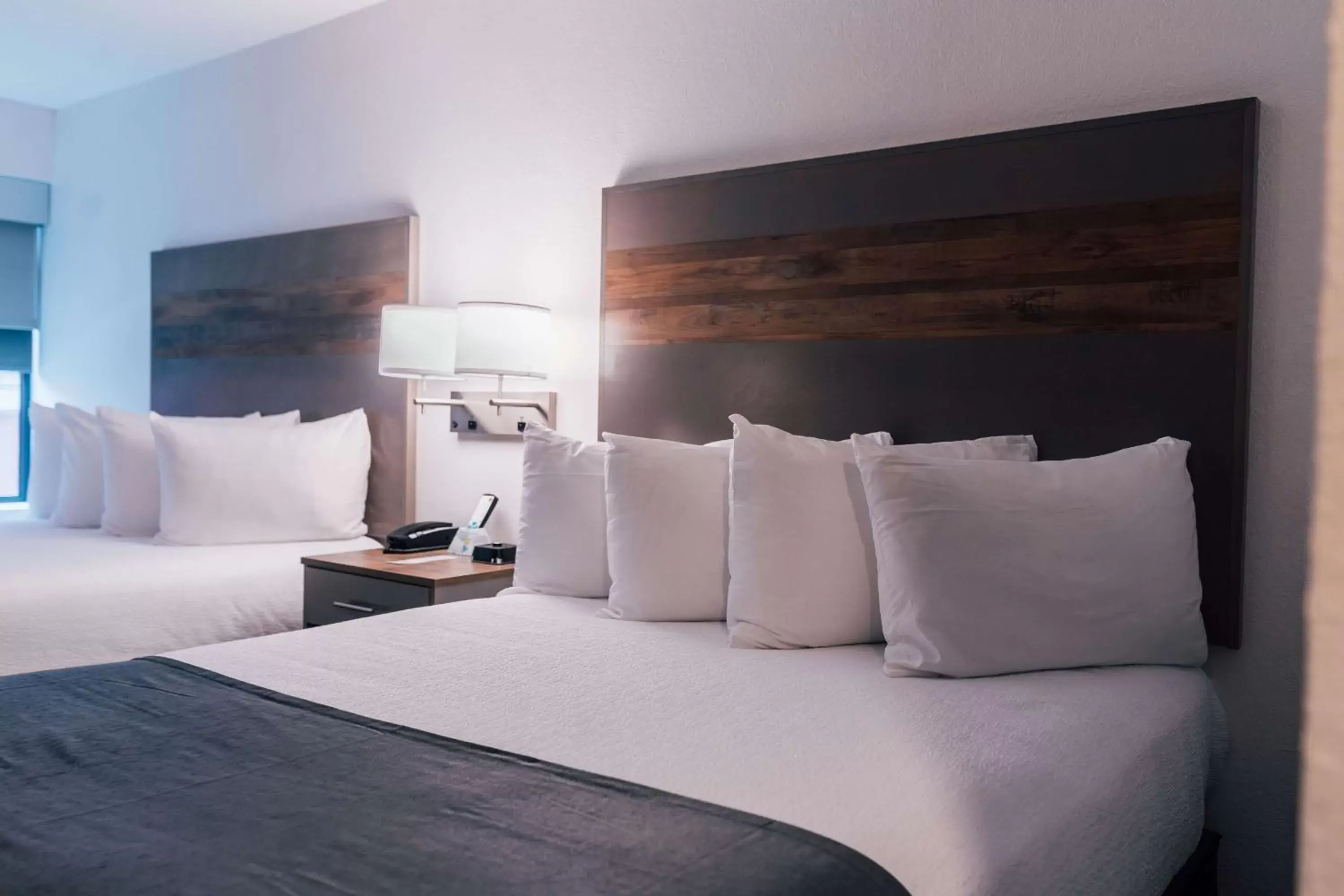 Photo of the whole room, Bed in Best Western Plus Executive Residency Waterloo & Cedar Falls