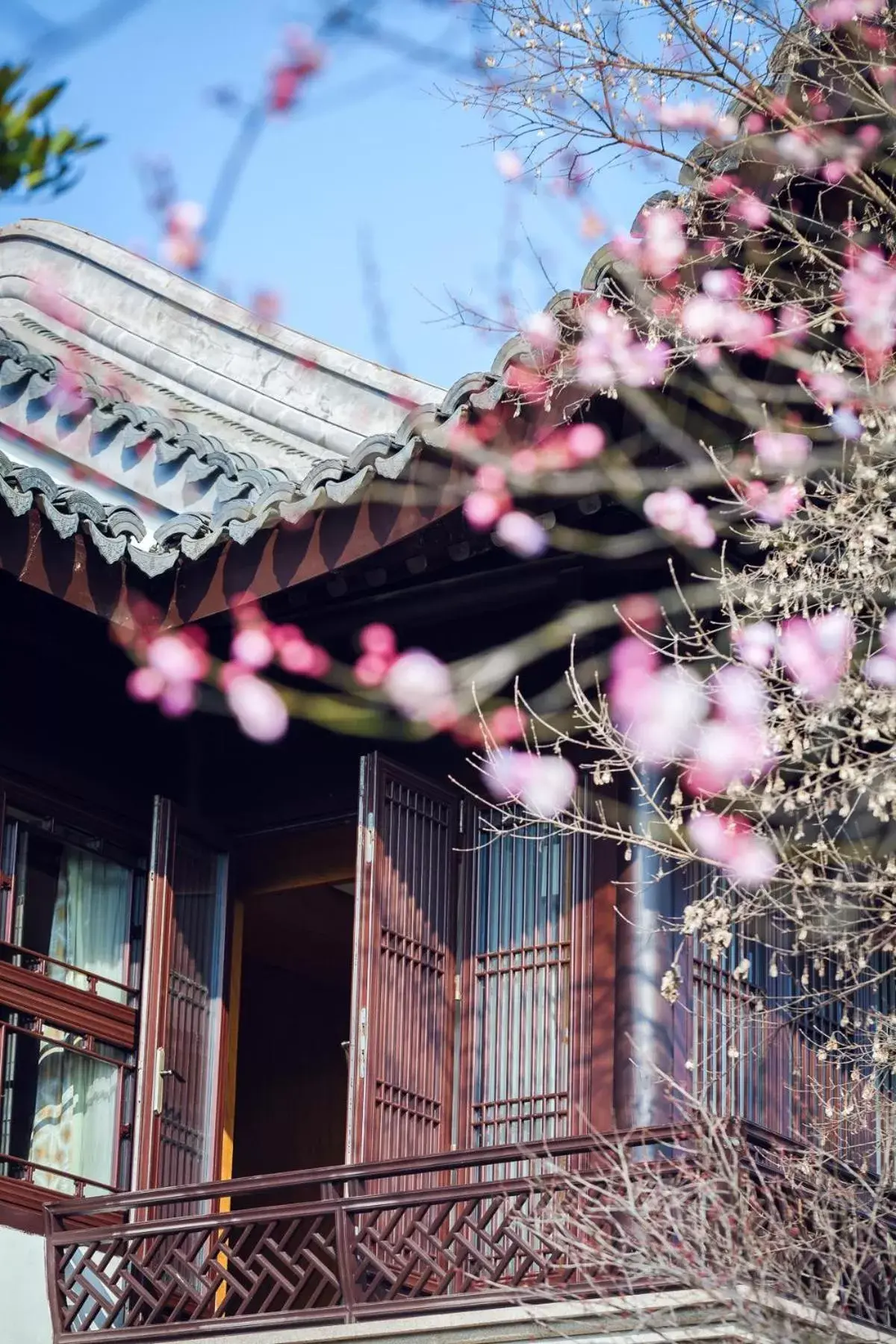 Garden view, Property Building in Four Seasons Hotel Hangzhou at West Lake