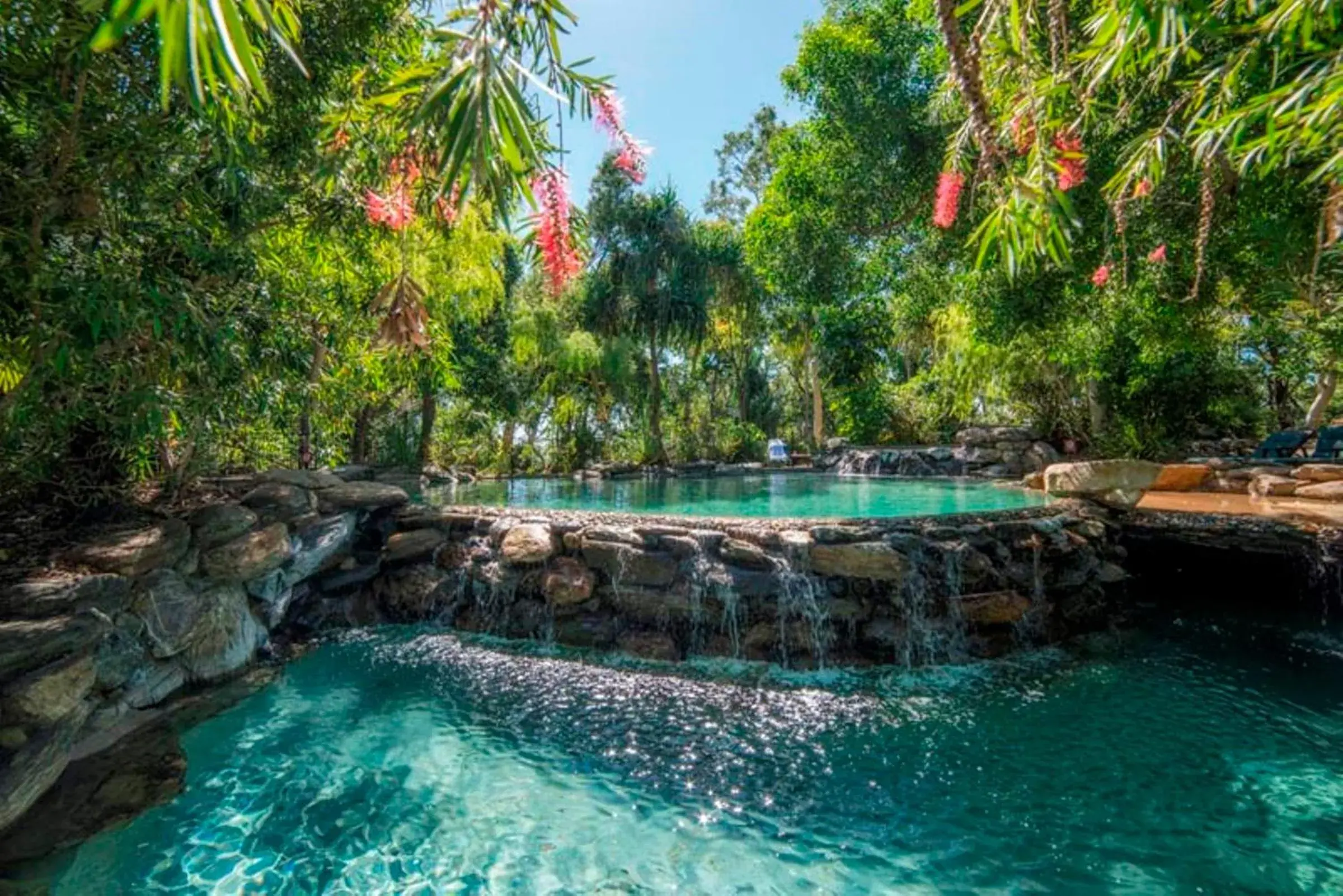 Swimming pool in Thala Beach Nature Reserve