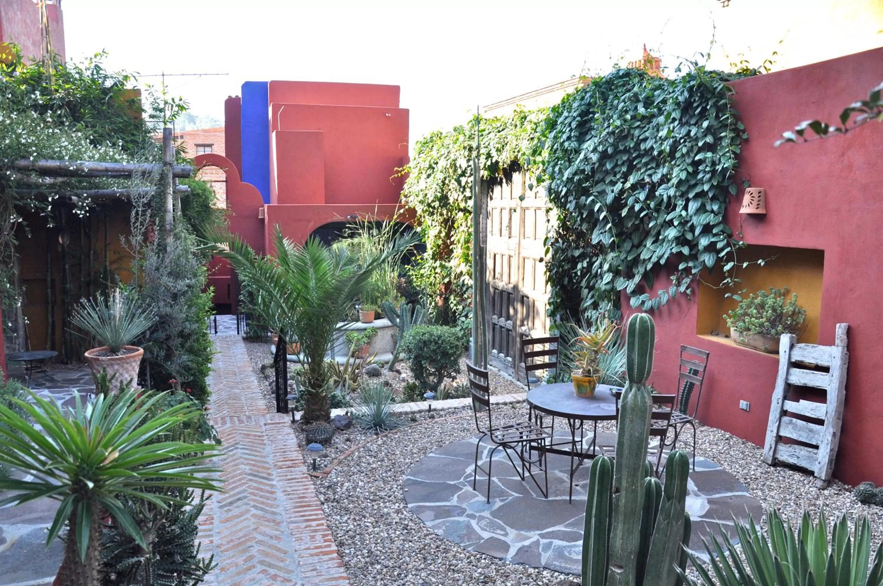 Garden in Casa de la Cuesta B&B