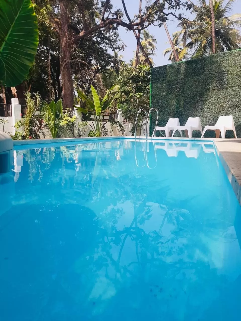 Swimming Pool in HALF Hotel, Calangute